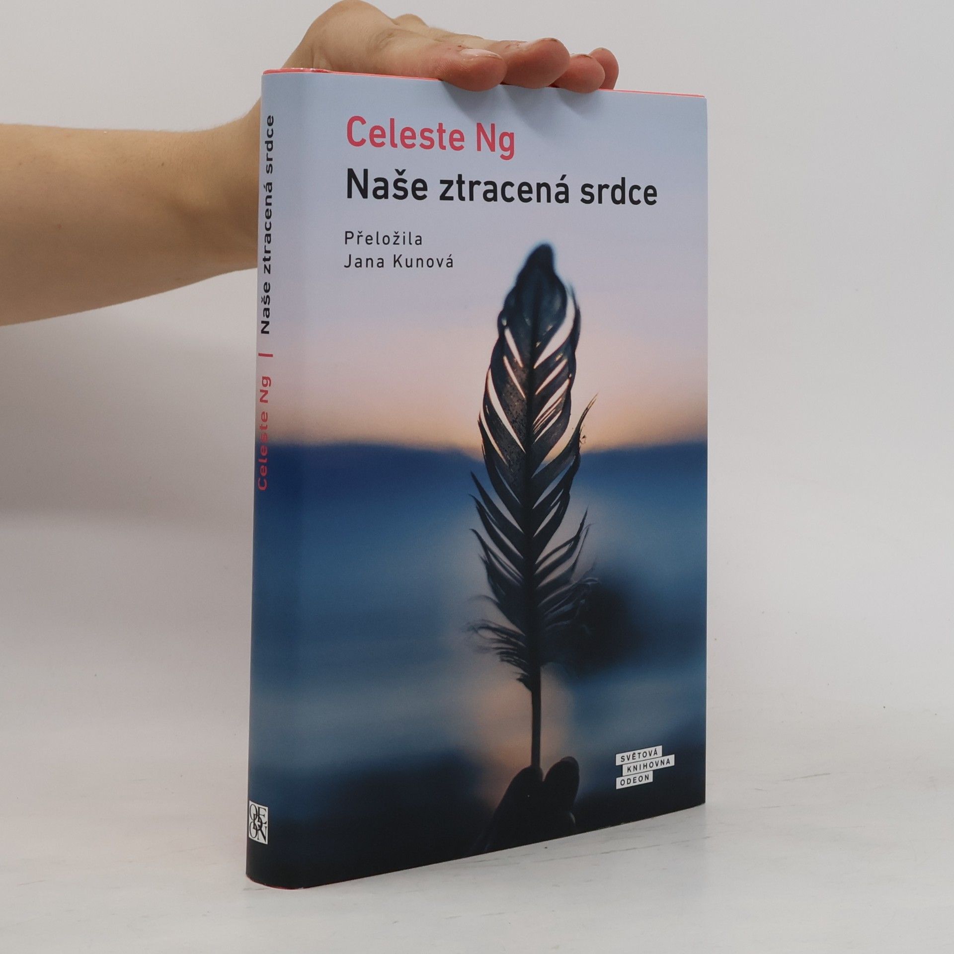 Celeste Ng Naše ztracená srdce