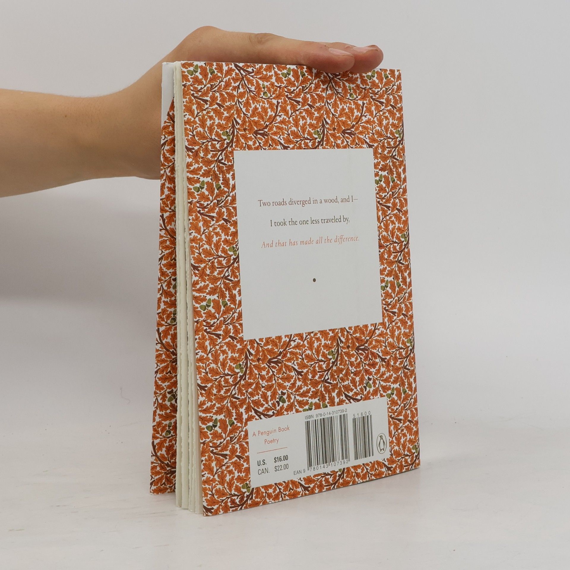 Robert Frost The Road Not Taken and Other Poems