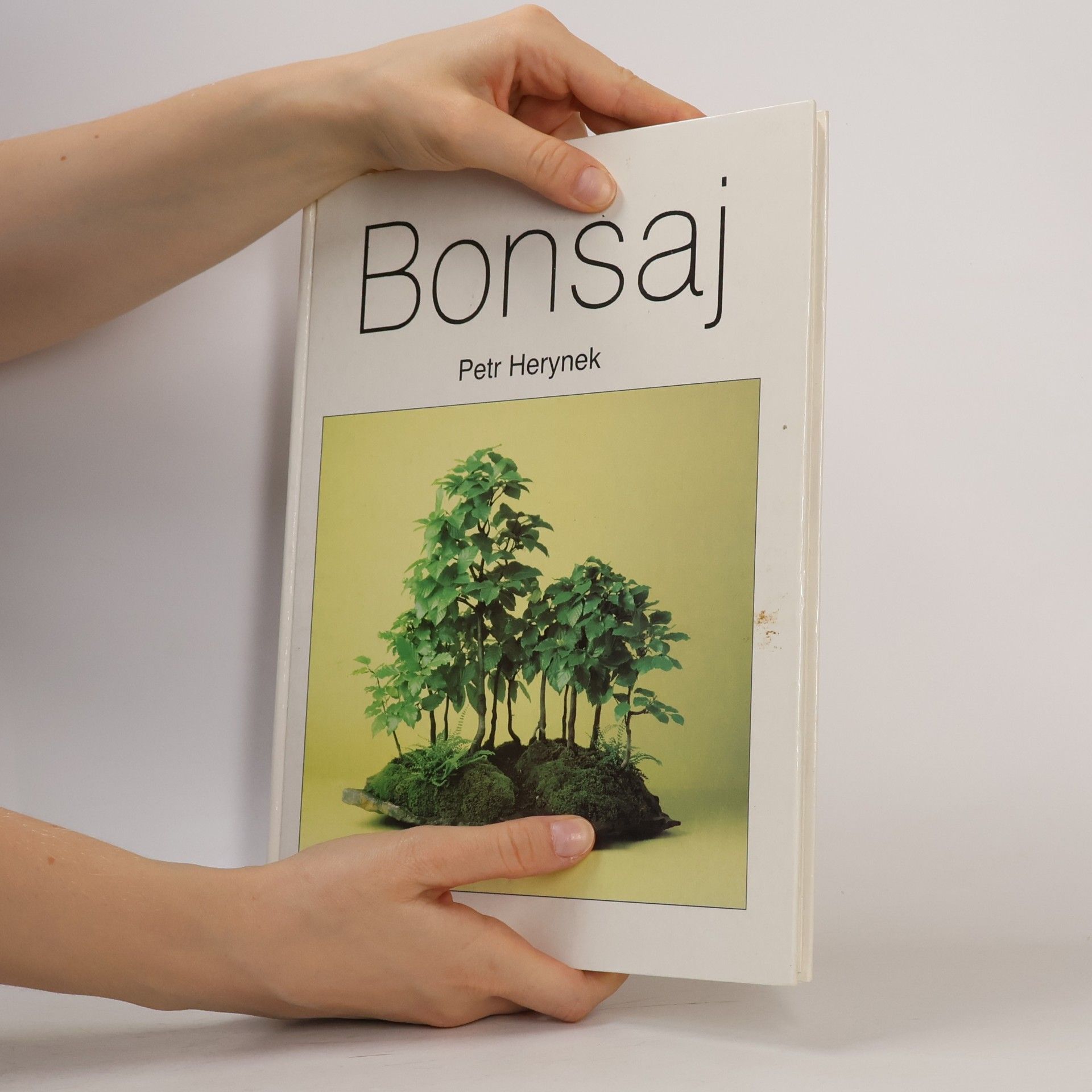 Petr Herynek Bonsaj