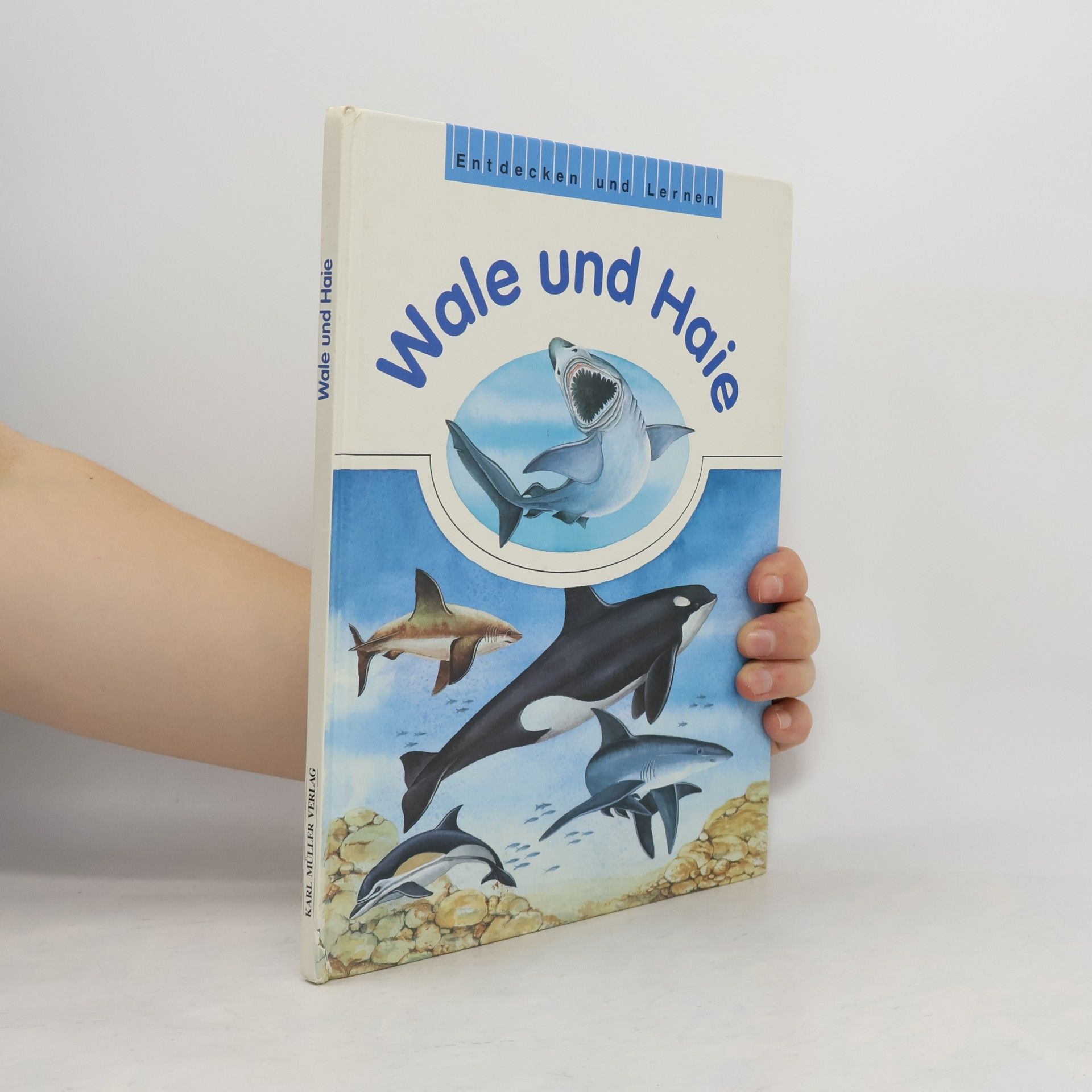 Autorenkollektiv Wale und Haie