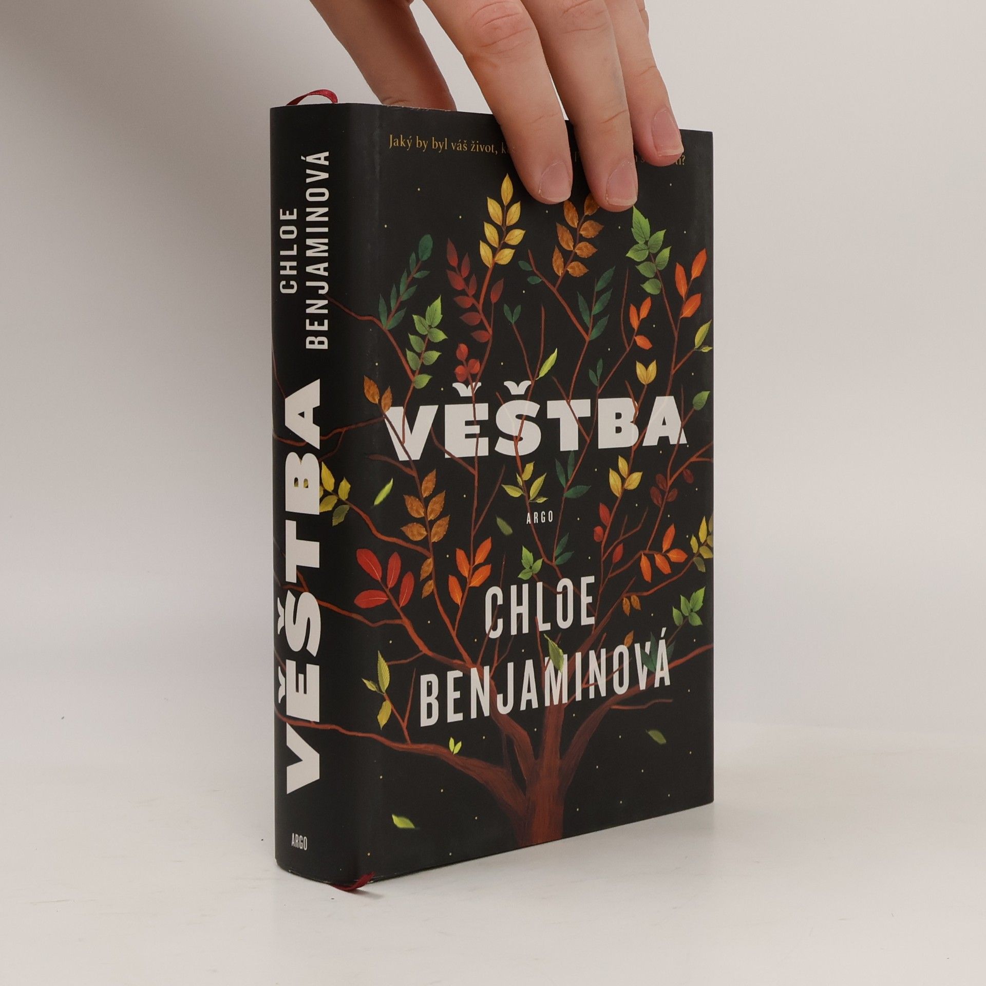 Chloe Benjamin Věštba