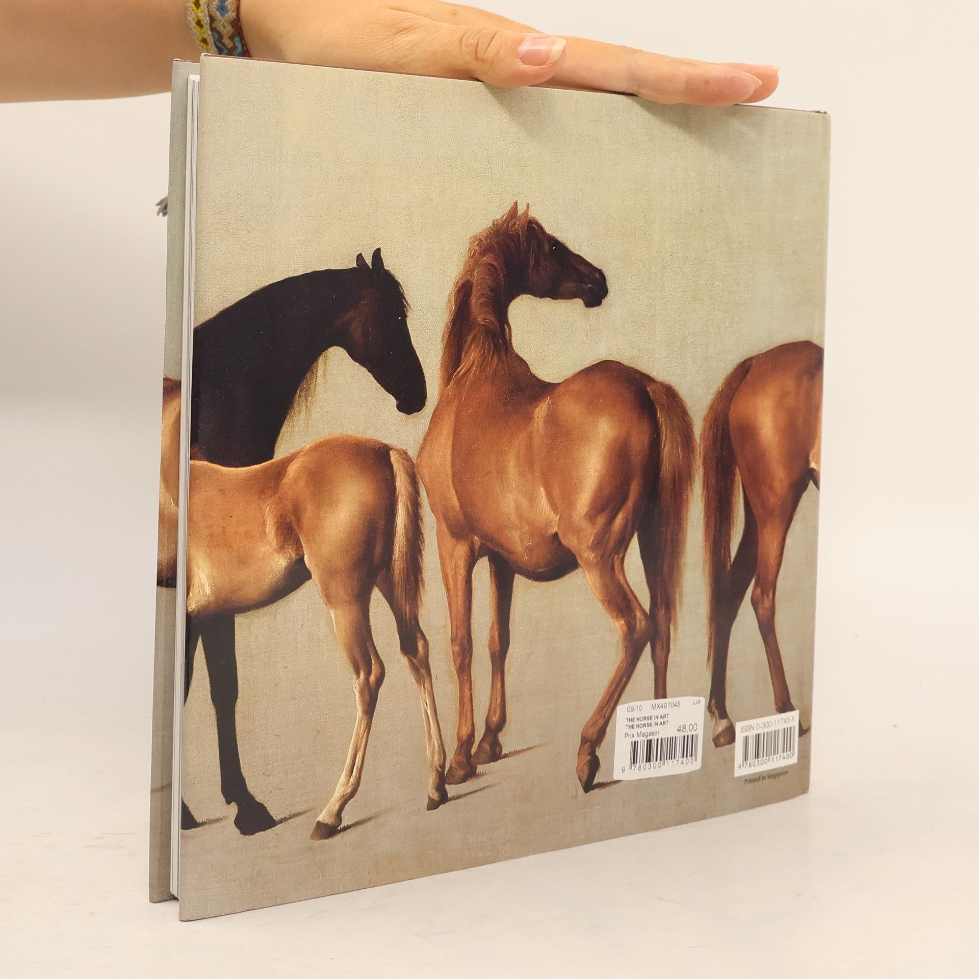 John Baskett The Horse in Art