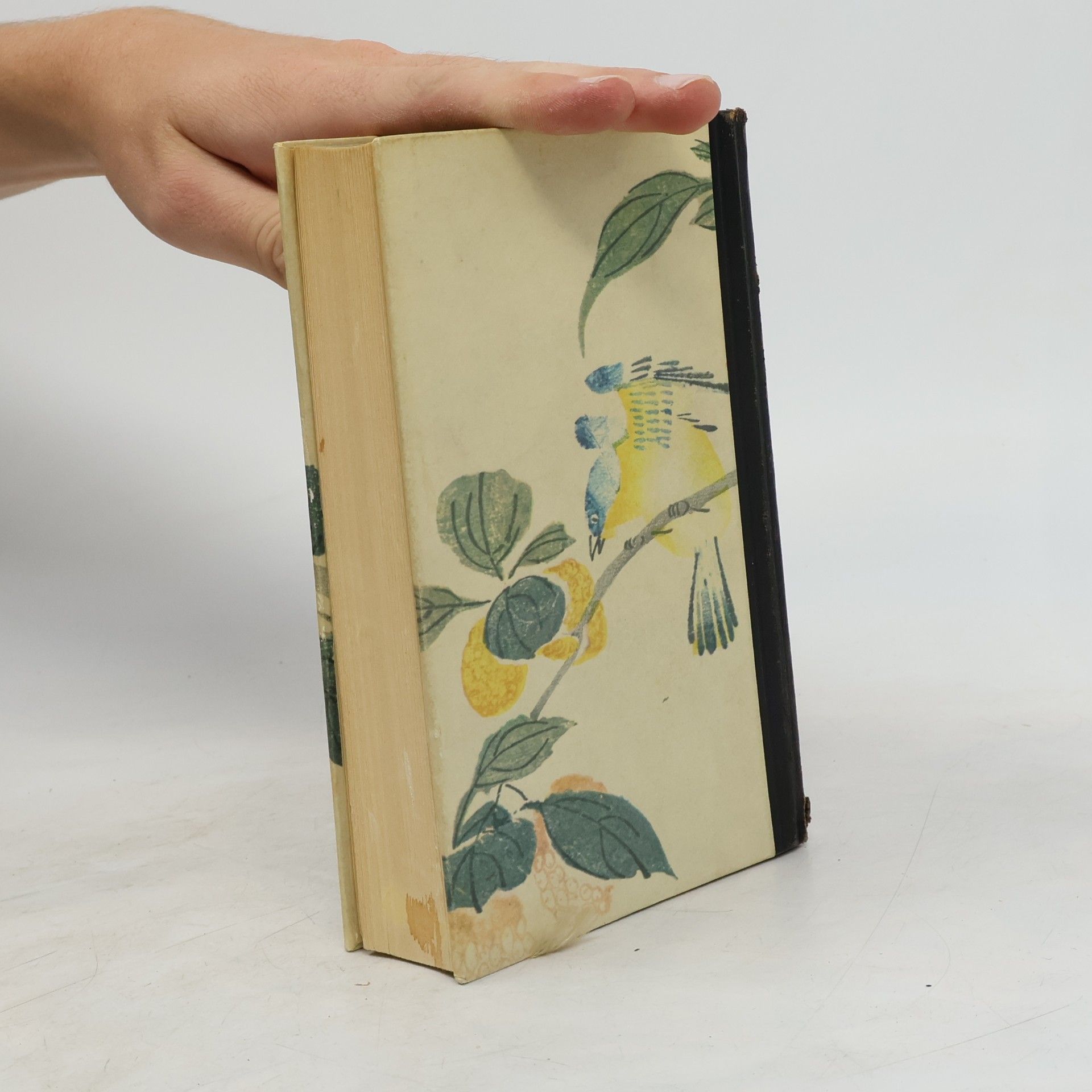 Pearl S. Buck Die gute Erde
