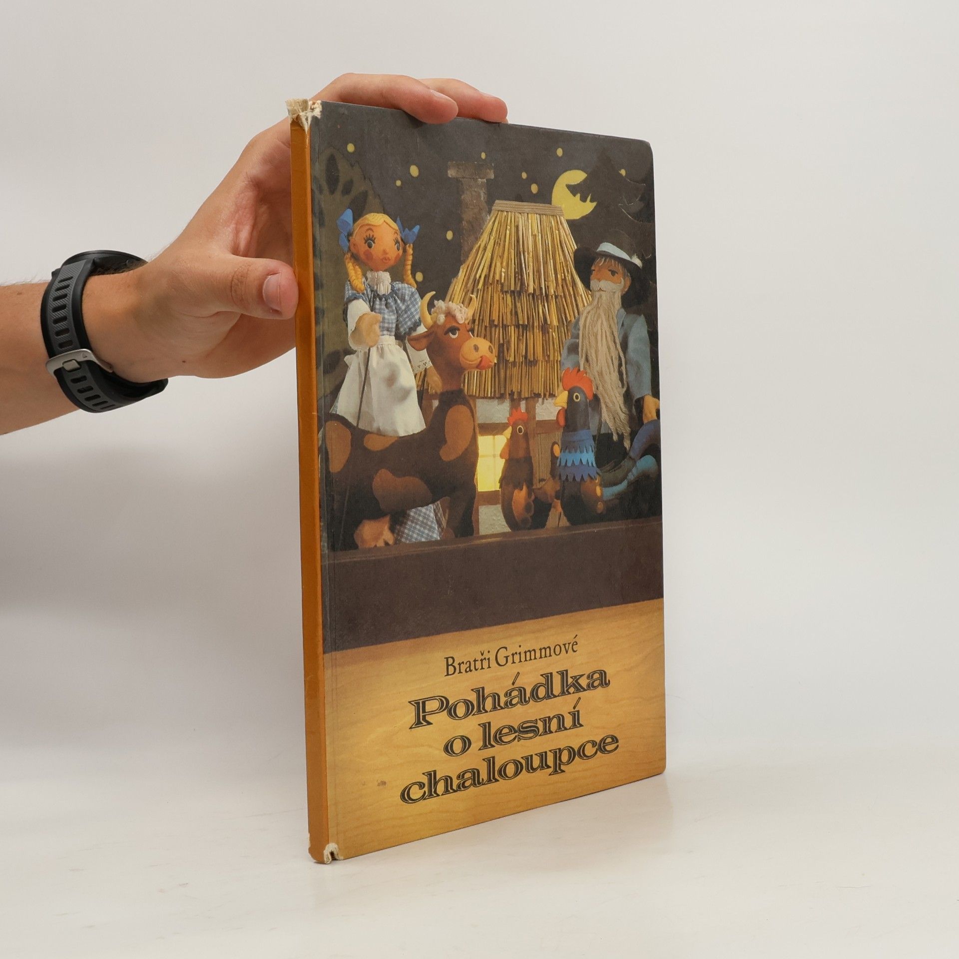 Wilhelm Grimm Pohádka o lesní chaloupce