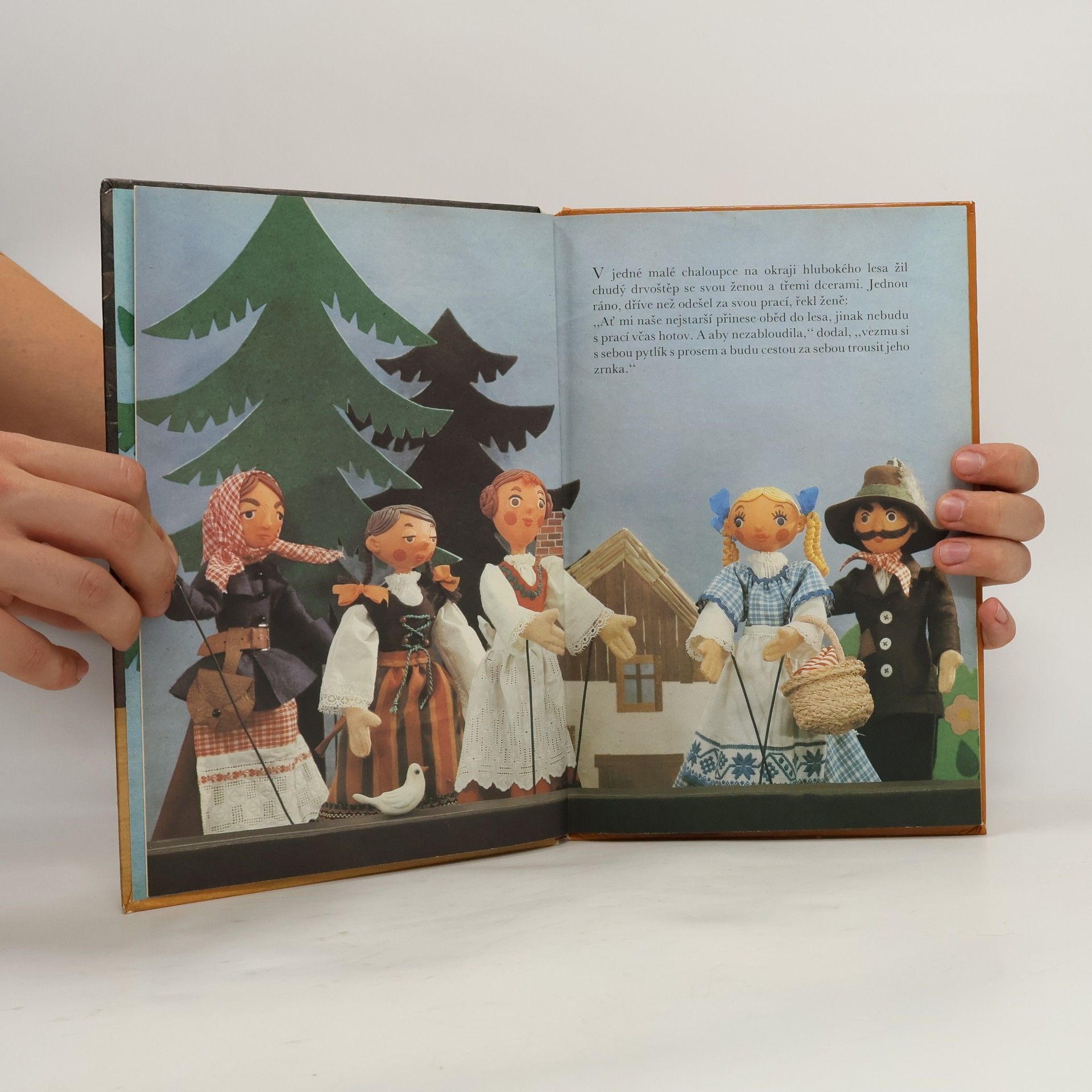 Jacob Grimm Pohádka o lesní chaloupce
