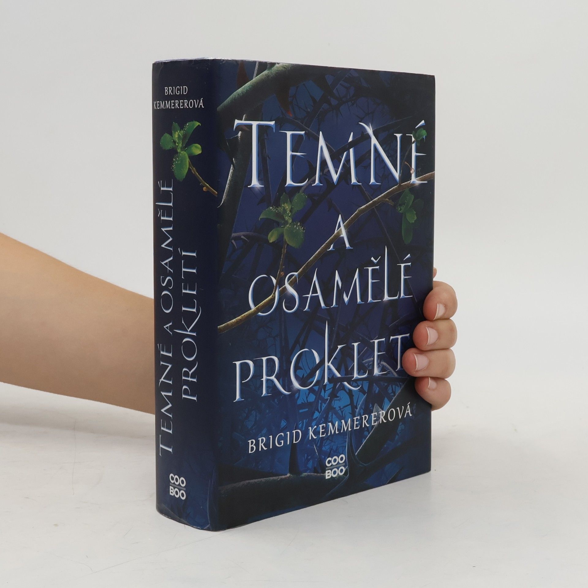 Brigid Kemmerer Temné a osamělé prokletí