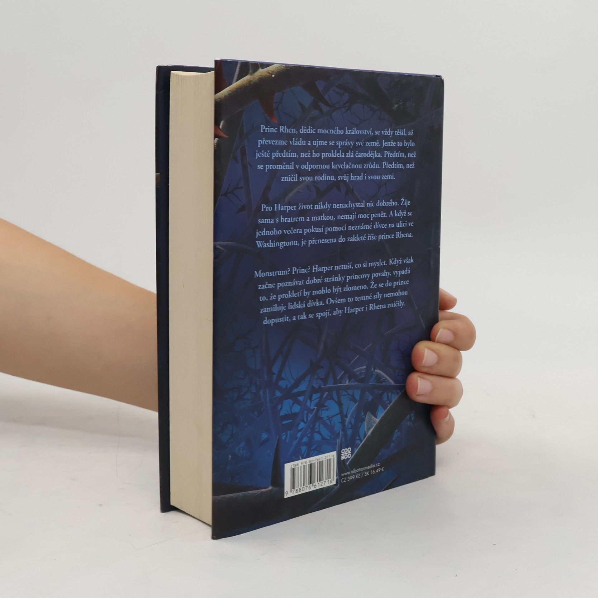 Brigid Kemmerer Temné a osamělé prokletí