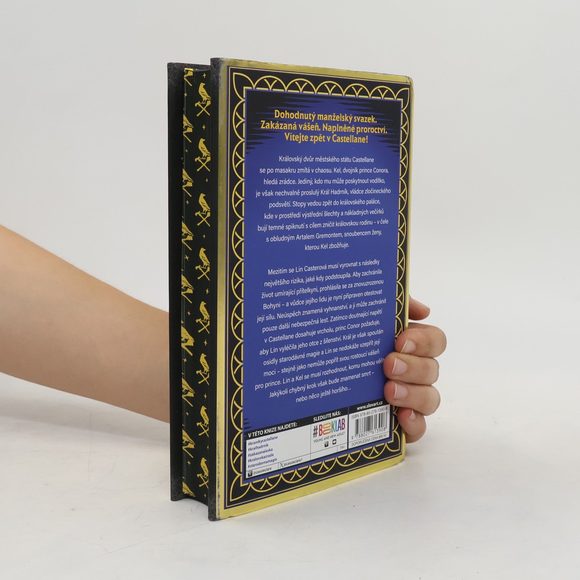 Cassandra Clare Král Hadrník