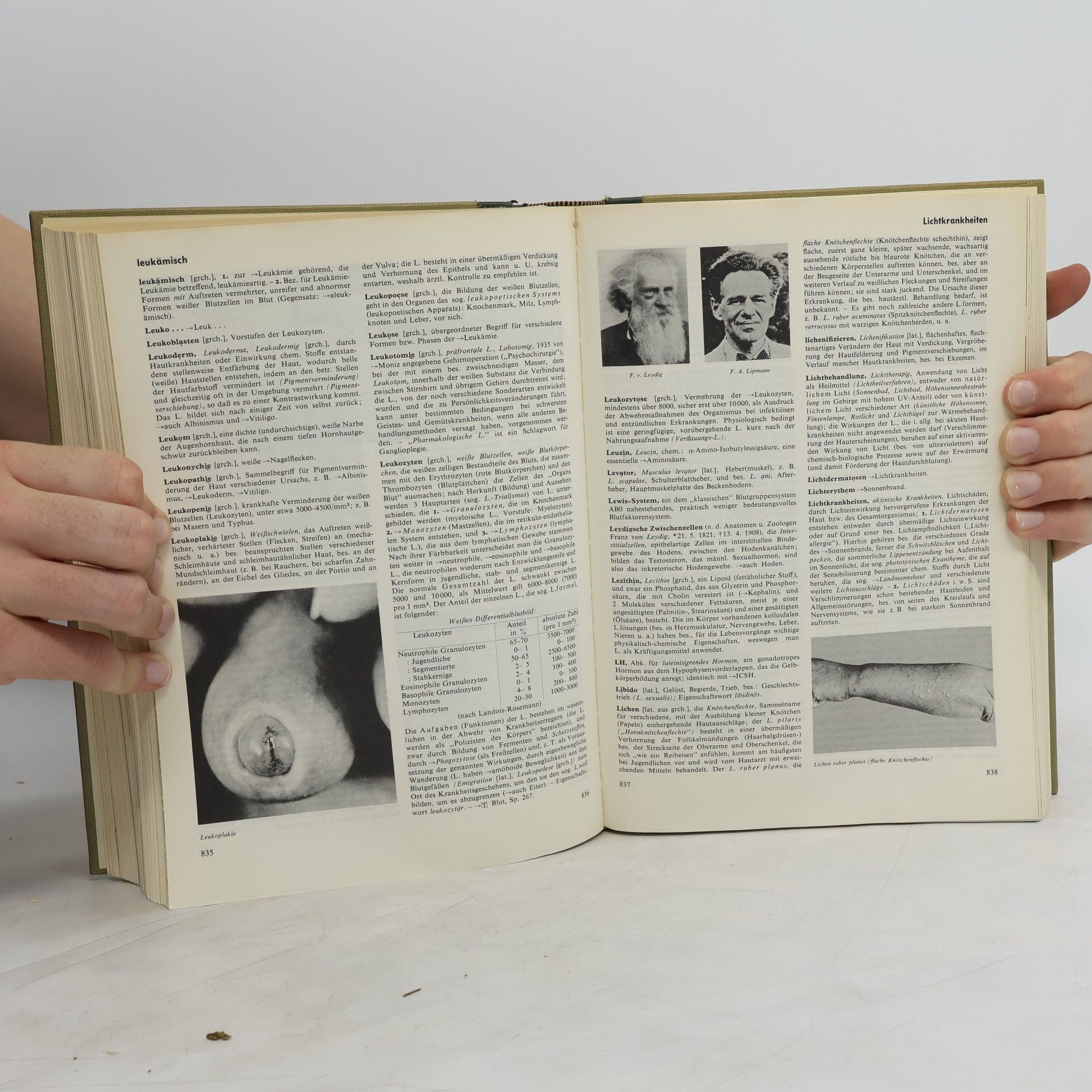 Autorenkollektiv Das Grosse illustrierte Gesundheitslexikon