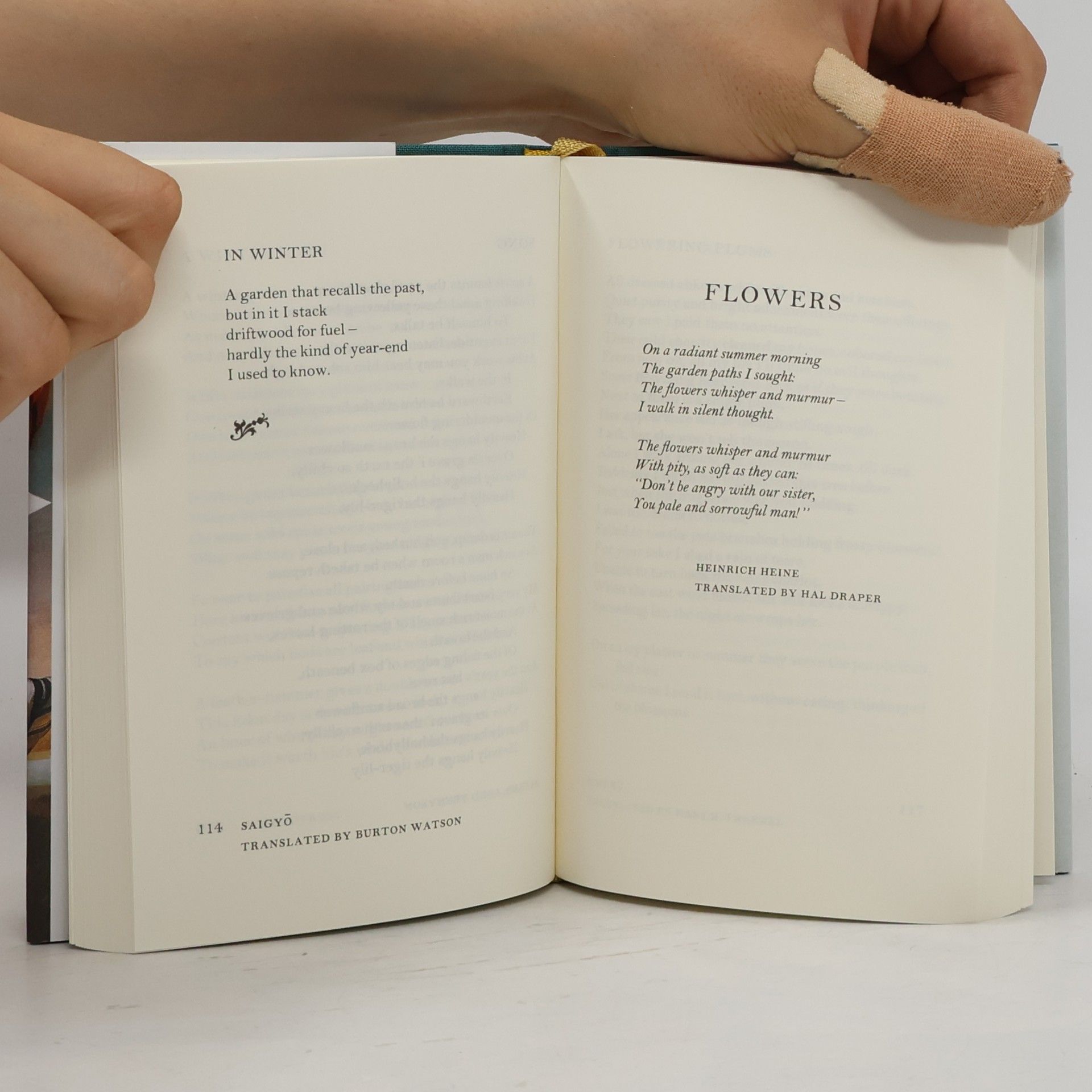 John Hollander Garden Poems