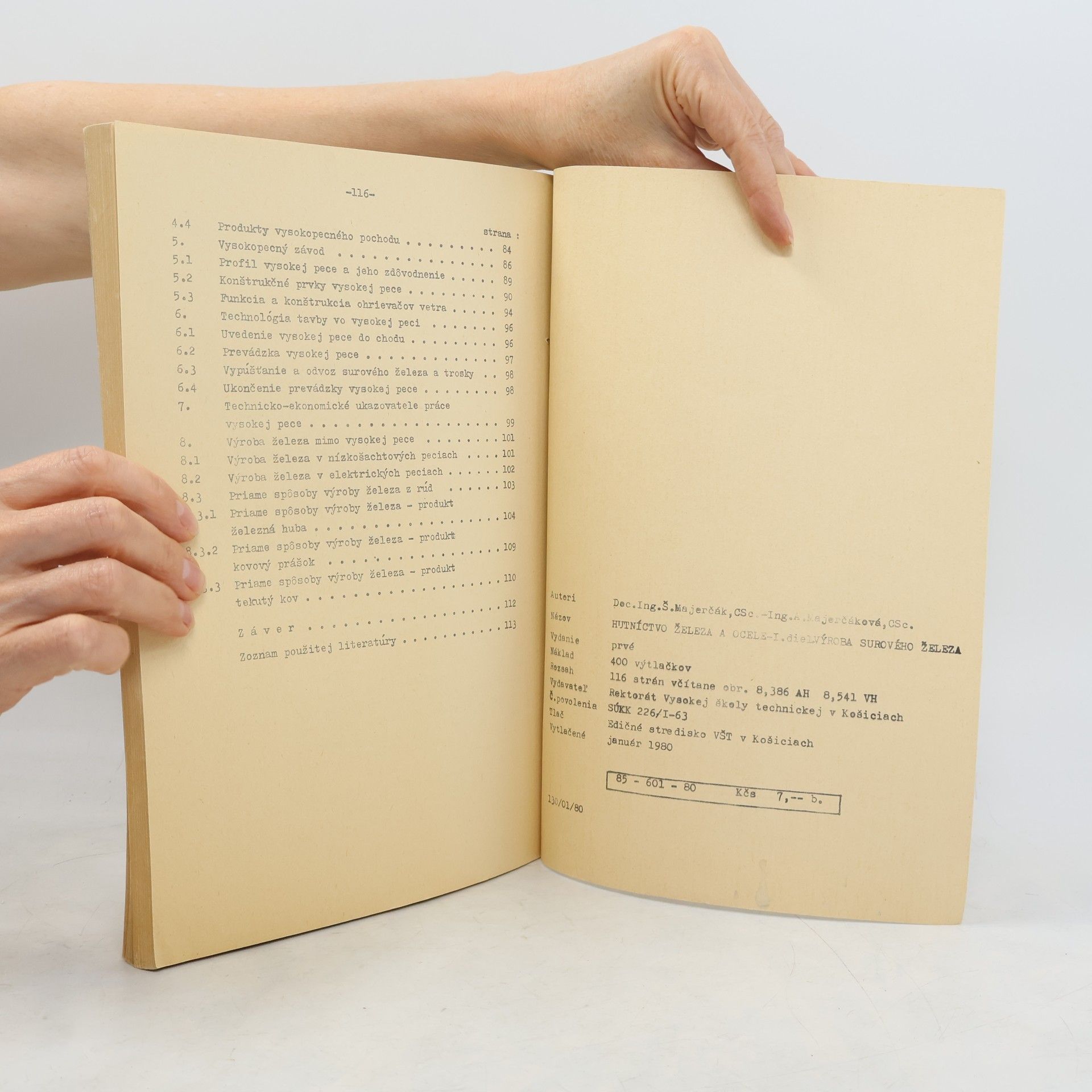 Autorenkollektiv Hutníctvo železa a ocele