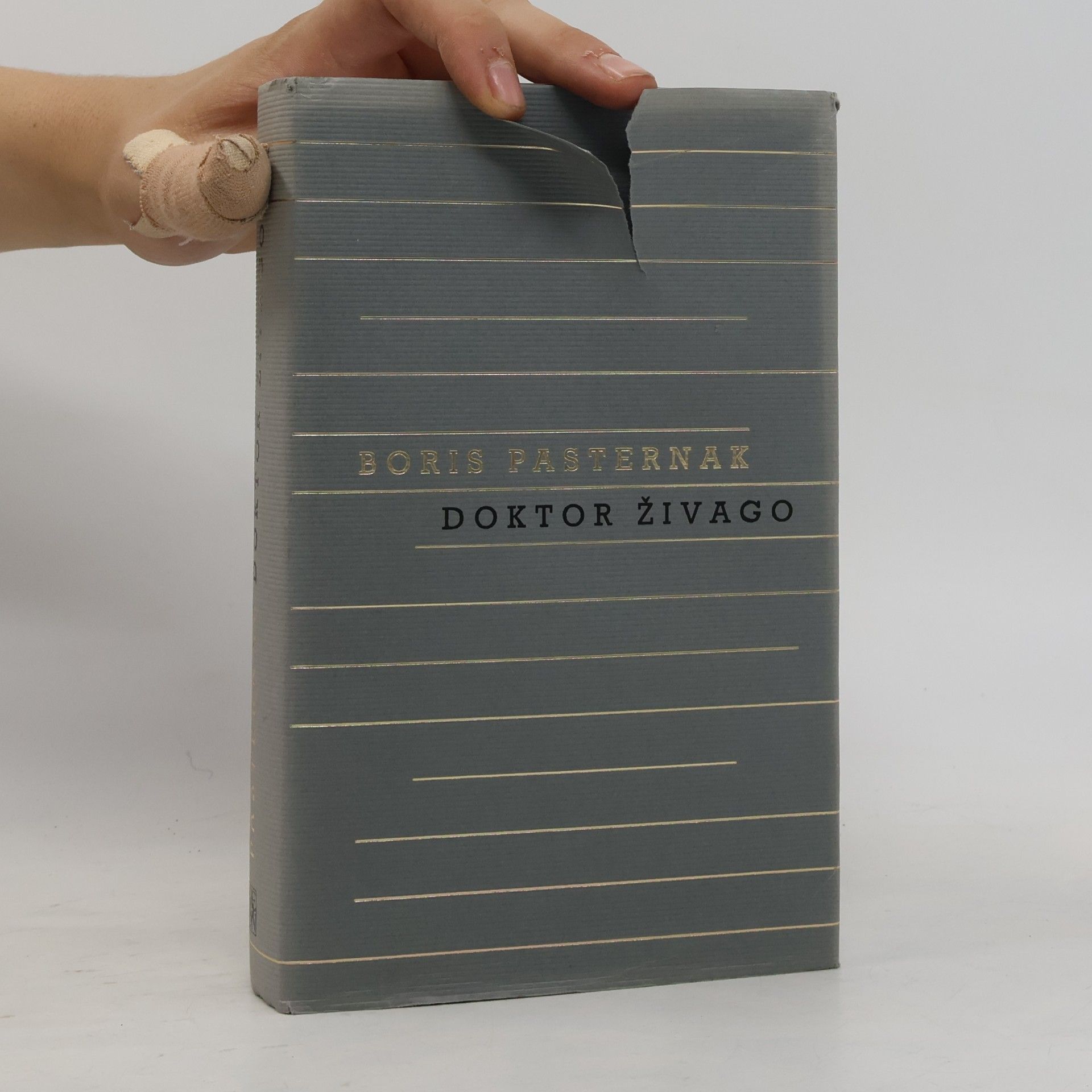Boris Leonidovič Pasternak Doktor Živago