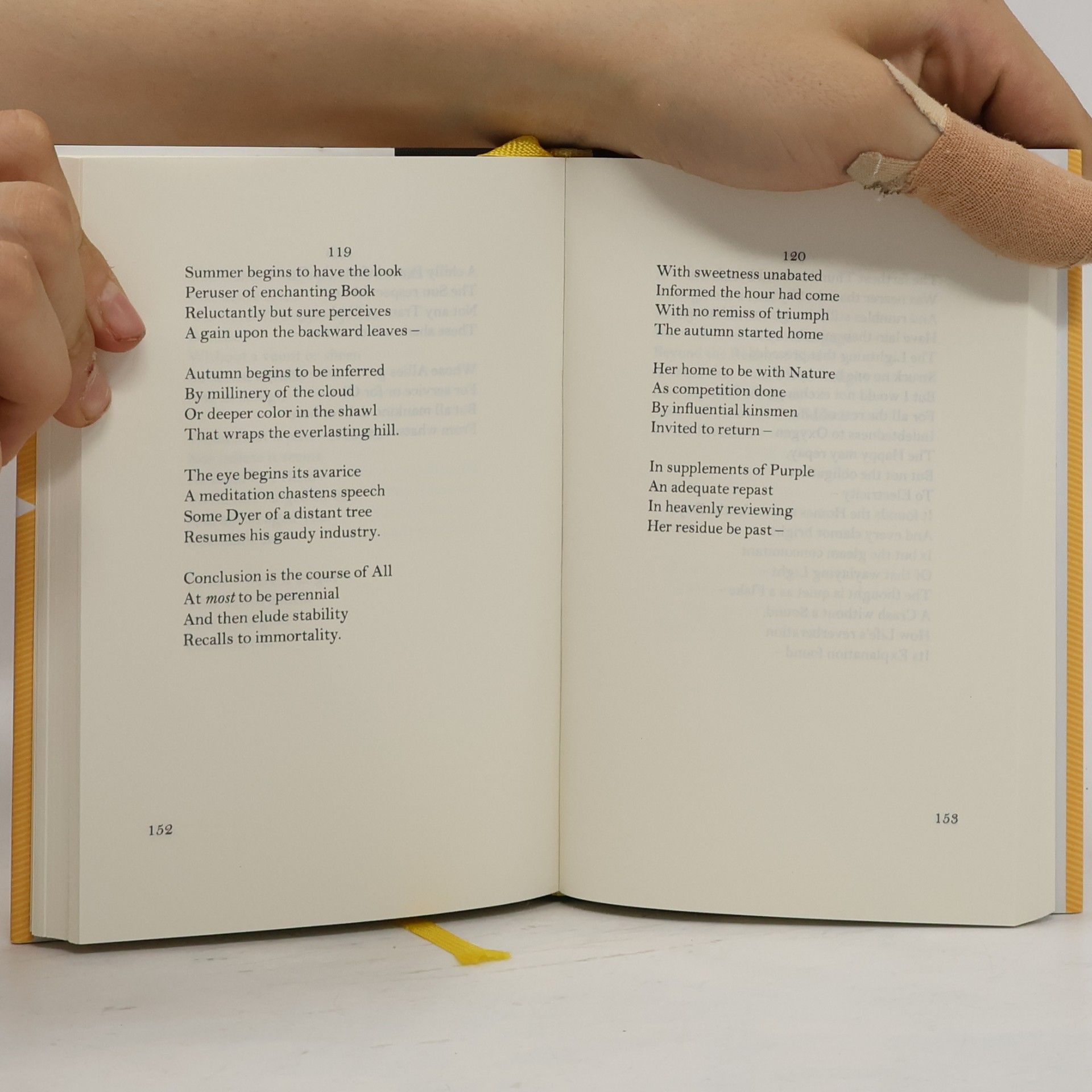 Emily Dickinson Poems