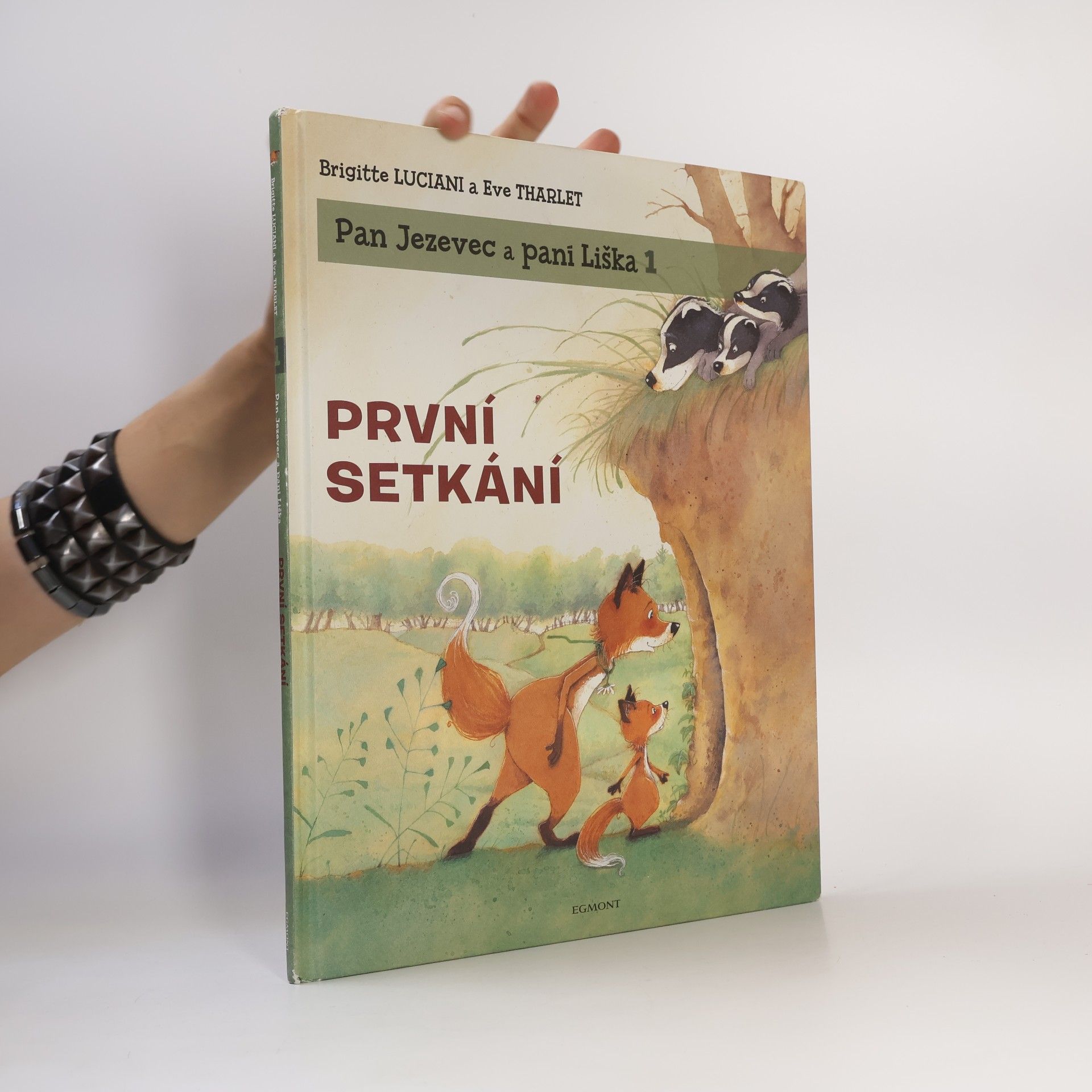 Brigitte Luciani První setkání