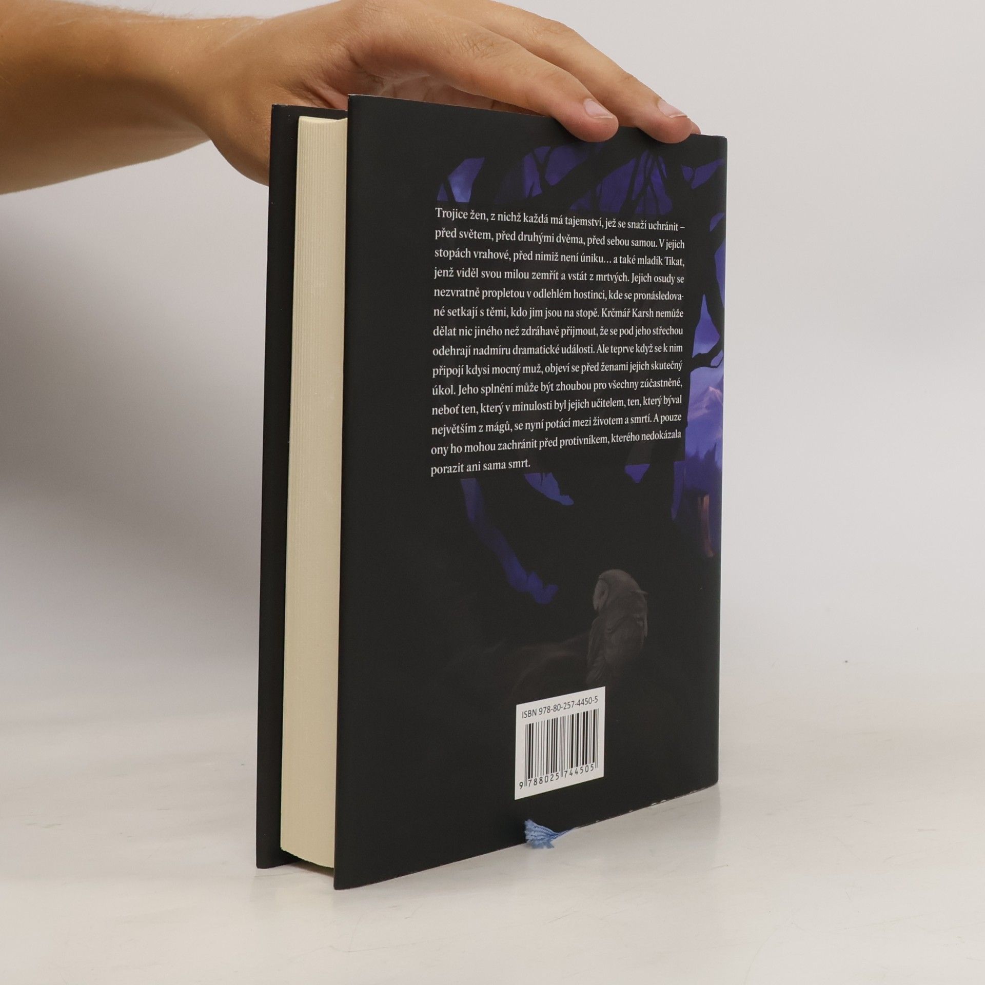 Peter S. Beagle Krčmářova píseň