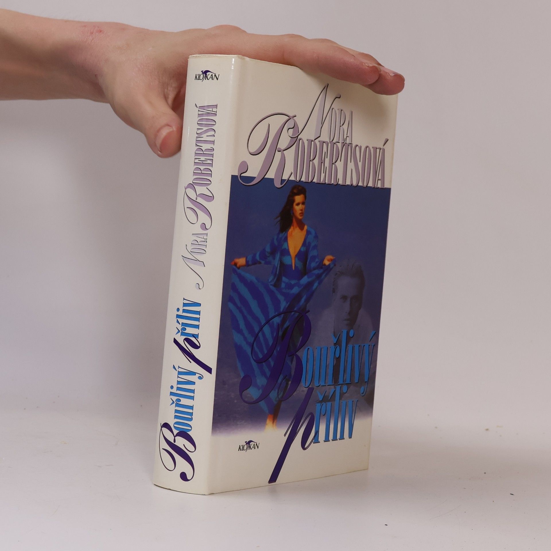 Nora Roberts Bouřlivý příliv