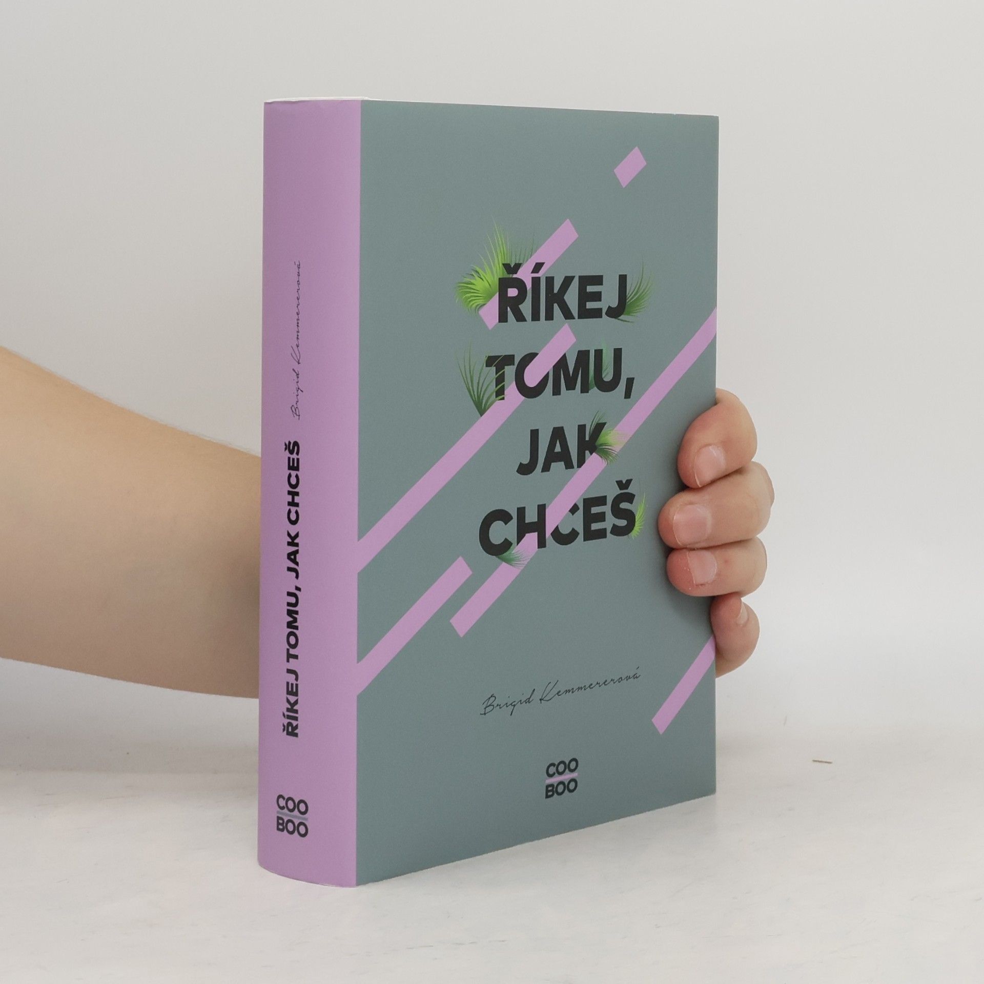 Brigid Kemmerer Říkej tomu, jak chceš