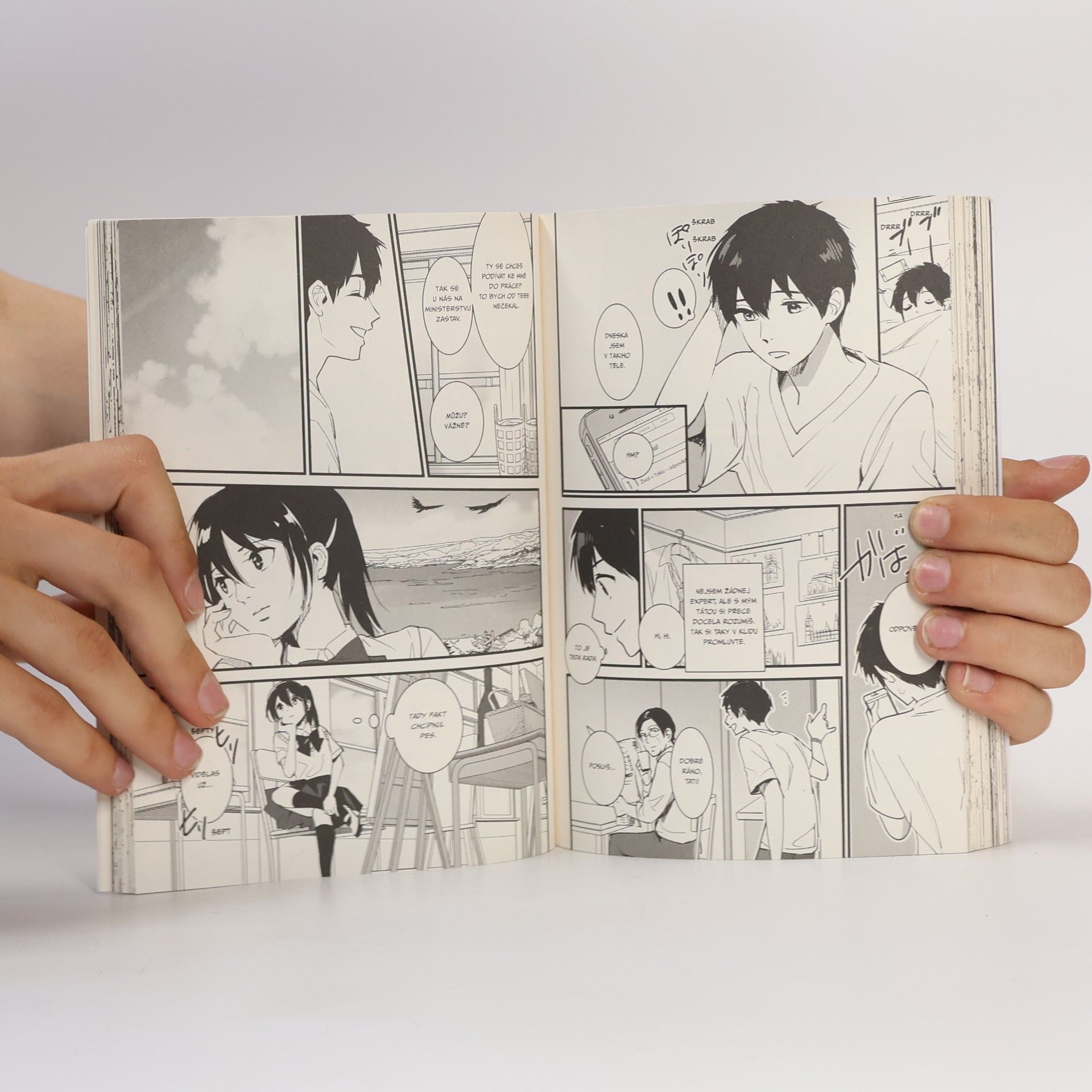 Makoto Šinkai To bylo tvé jméno 1