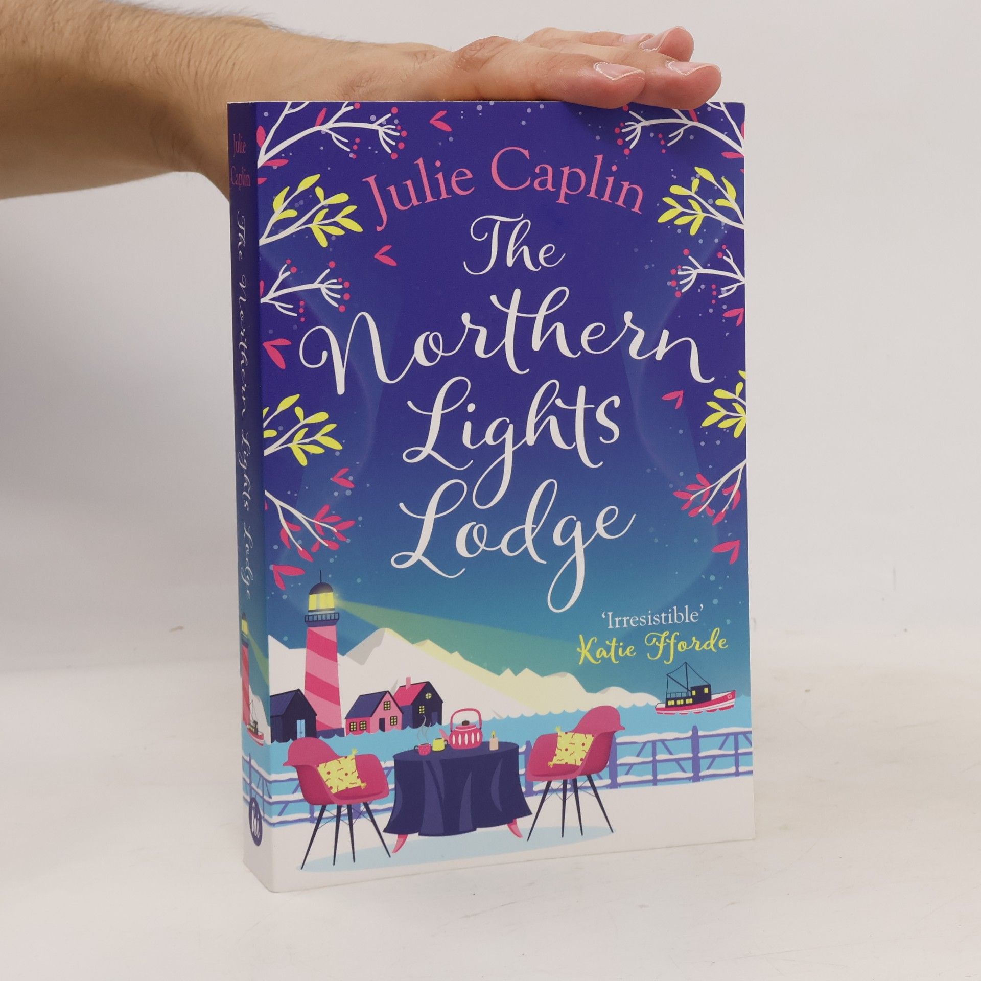 Julie Caplin The Northern Lights Lodge