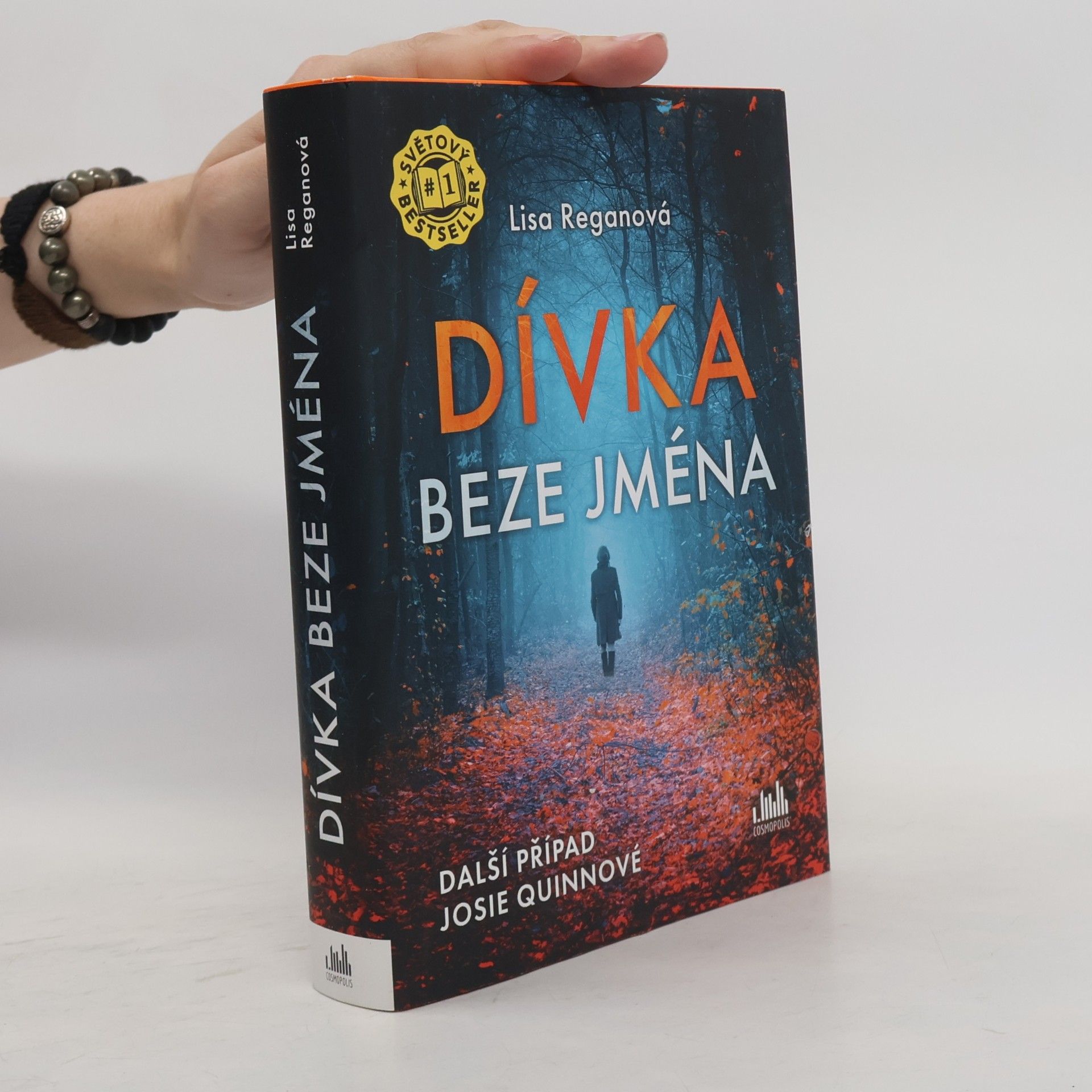 Lisa Regan Dívka beze jména: Další případ Josie Quinnové