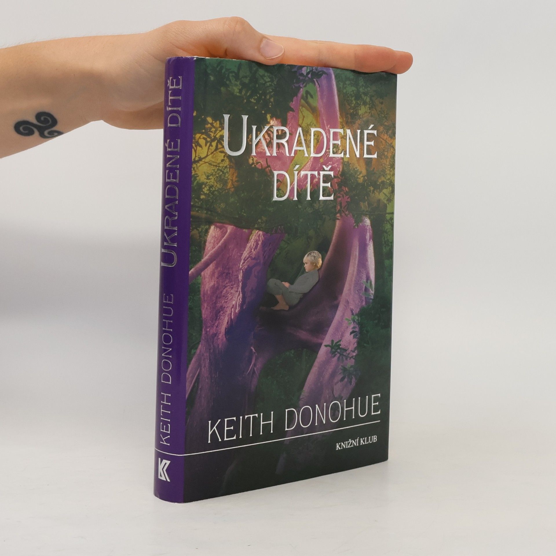 Keith Donohue Ukradené dítě