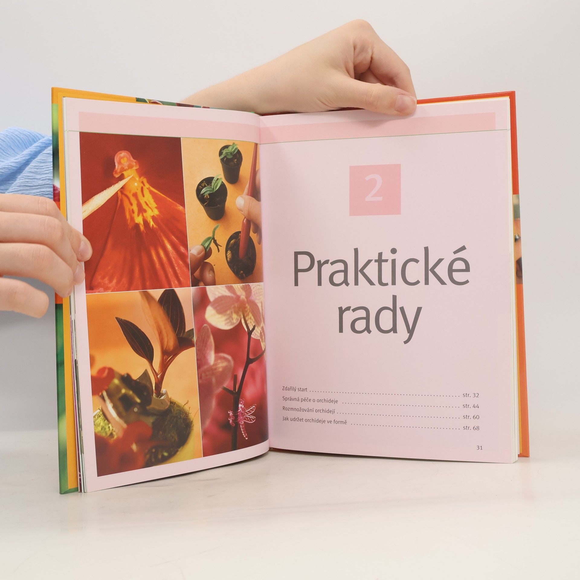 Frank Rolke Orchideje. Krok za krokem k exotické nádheře