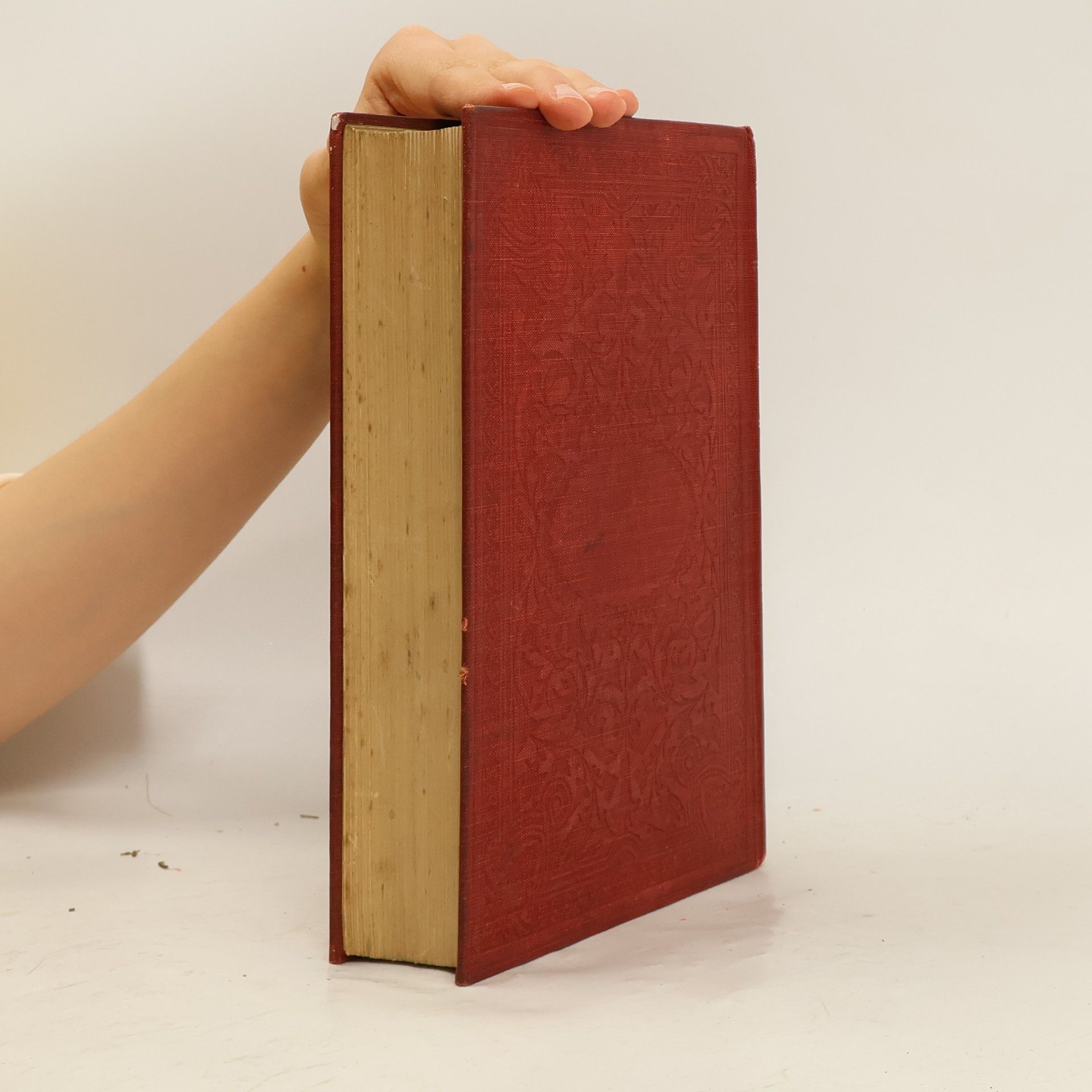 Alphonse Daudet The Nabob