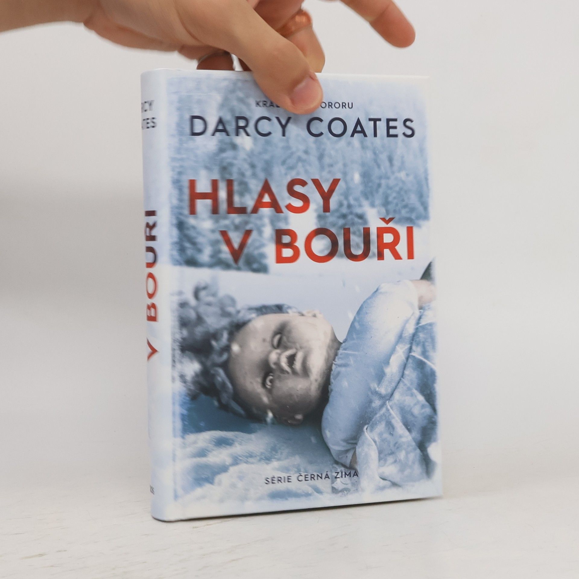 Darcy Coates Hlasy v bouři