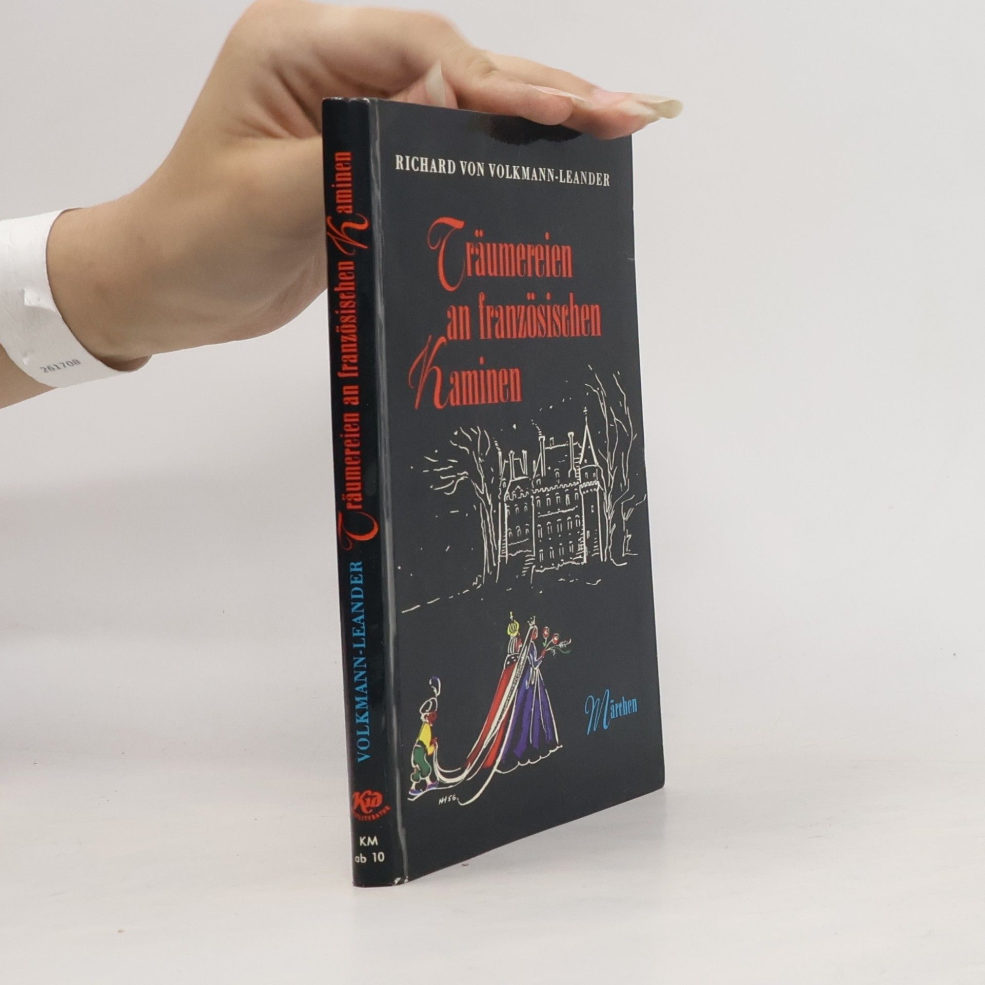 Träumereien an französischen Kaminen