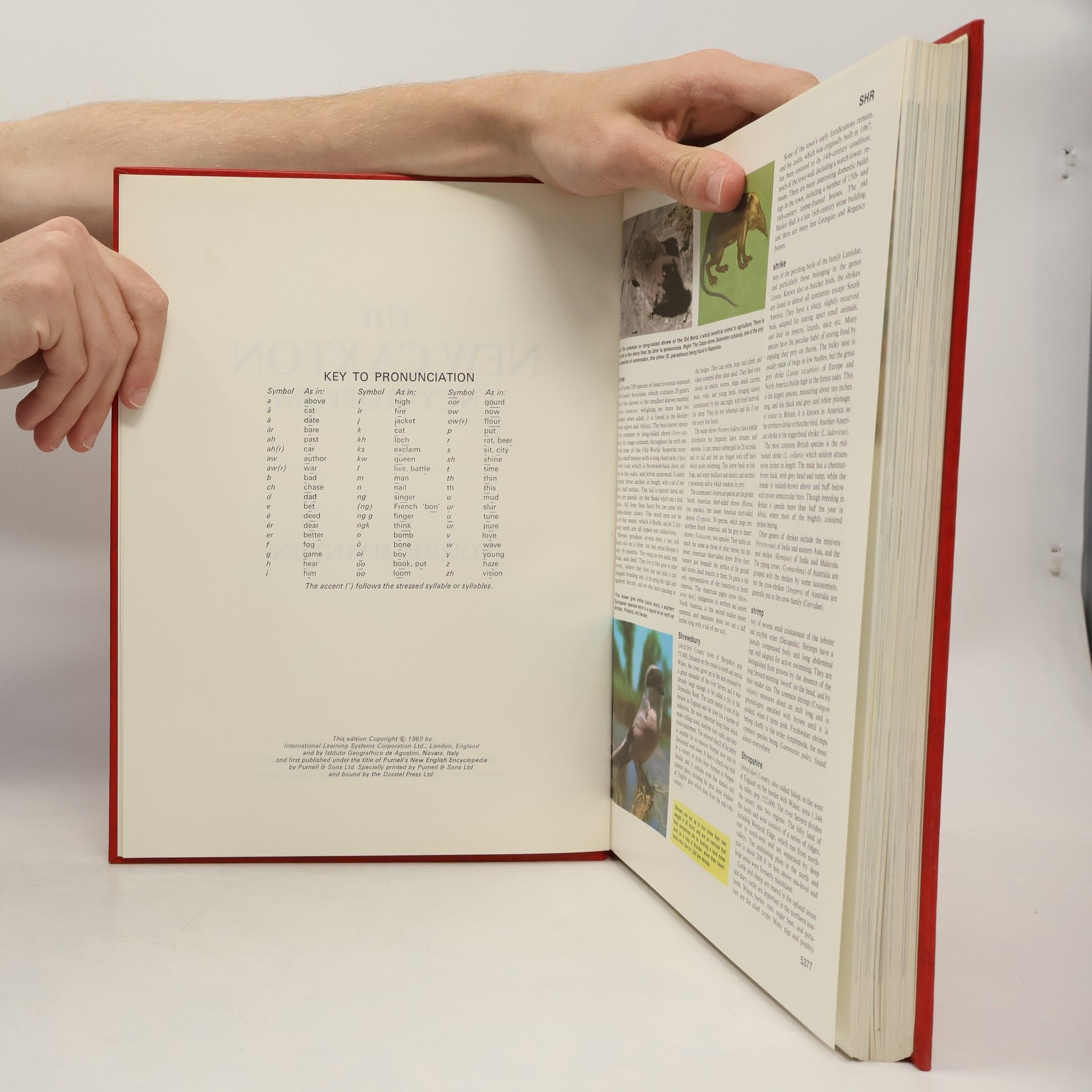 Various authors The New Caxton Encyclopedia, Volume 17