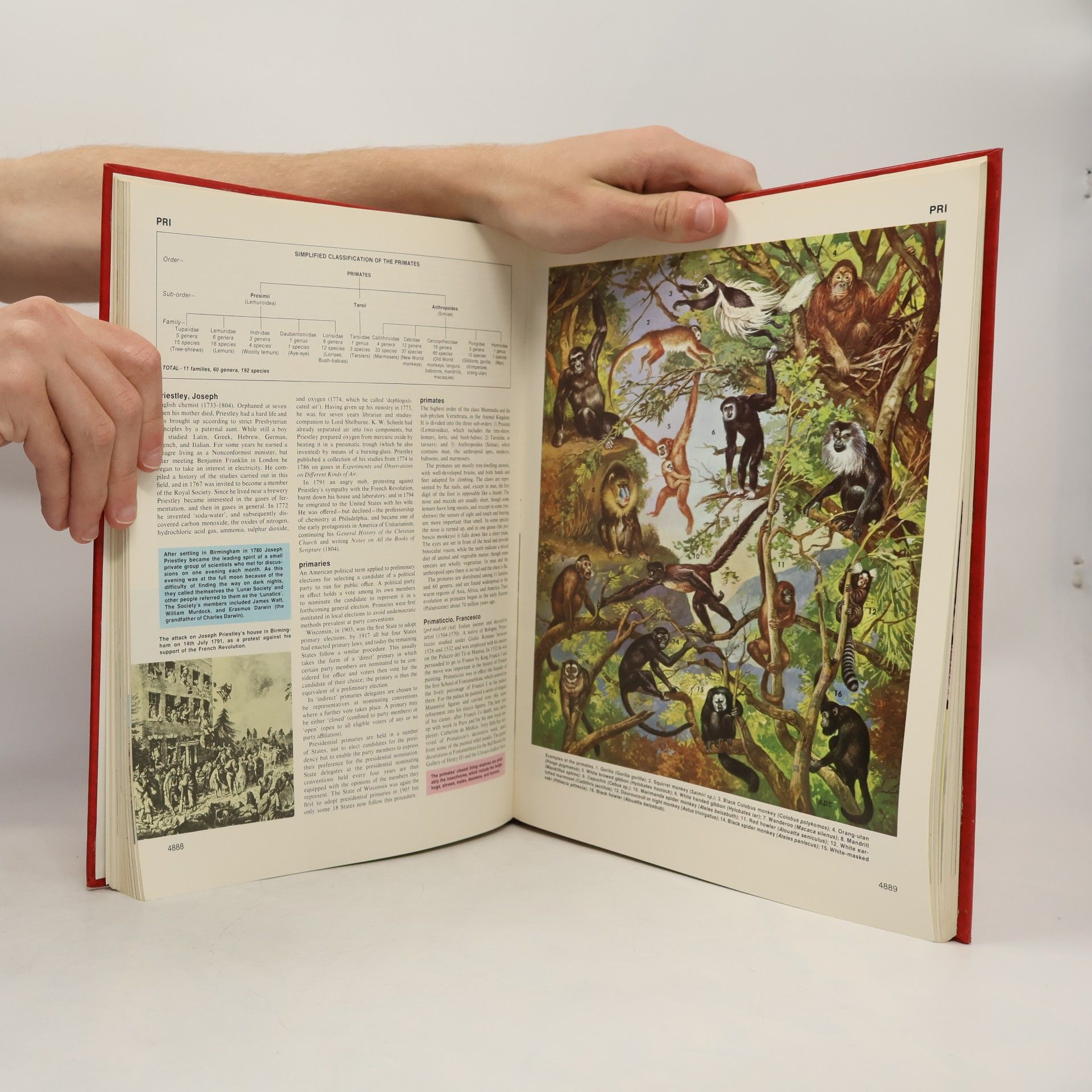 Autores varios The New Caxton Encyclopedia 15