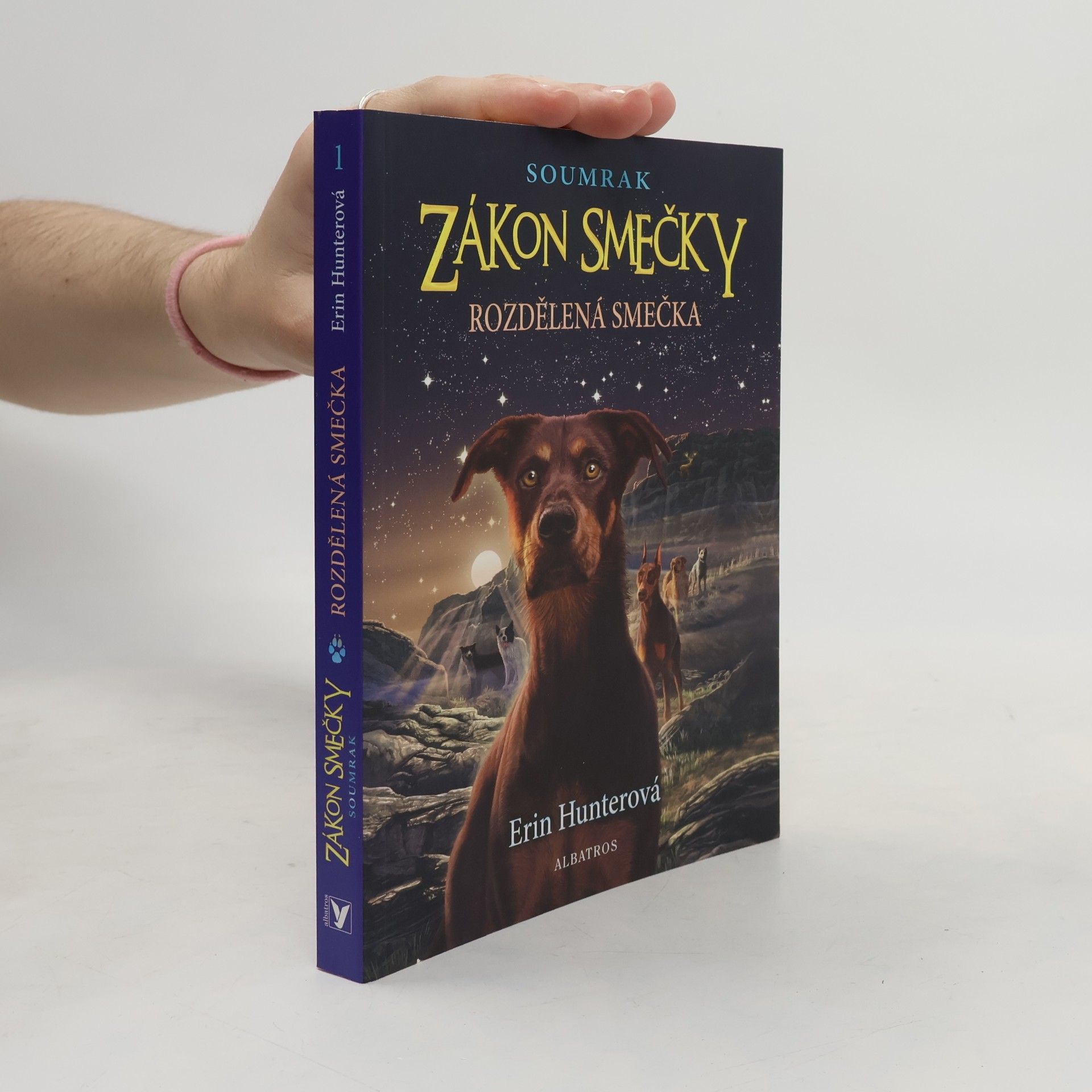 Erin Hunter Rozdělená smečka