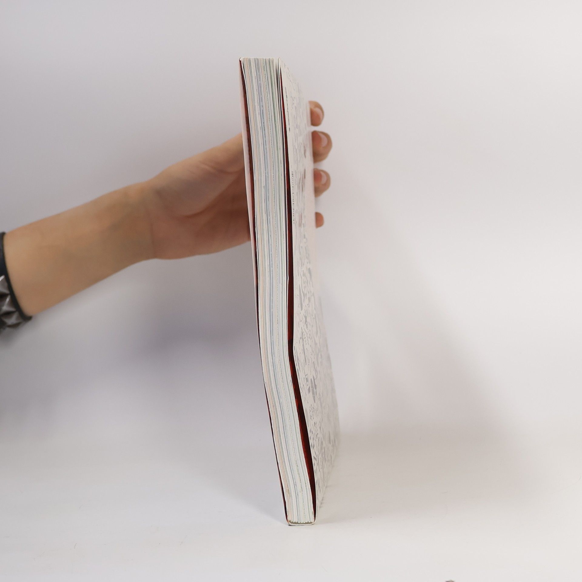 Felix Sockwell Řeč ikon : design a tvorba účinných vizuálních symbolů
