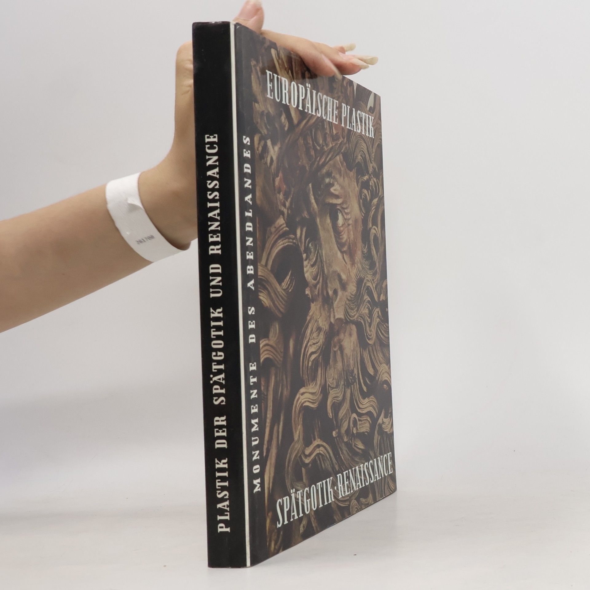 Autores varios Europäisiche Plastik der Spätgotik und Renaissance