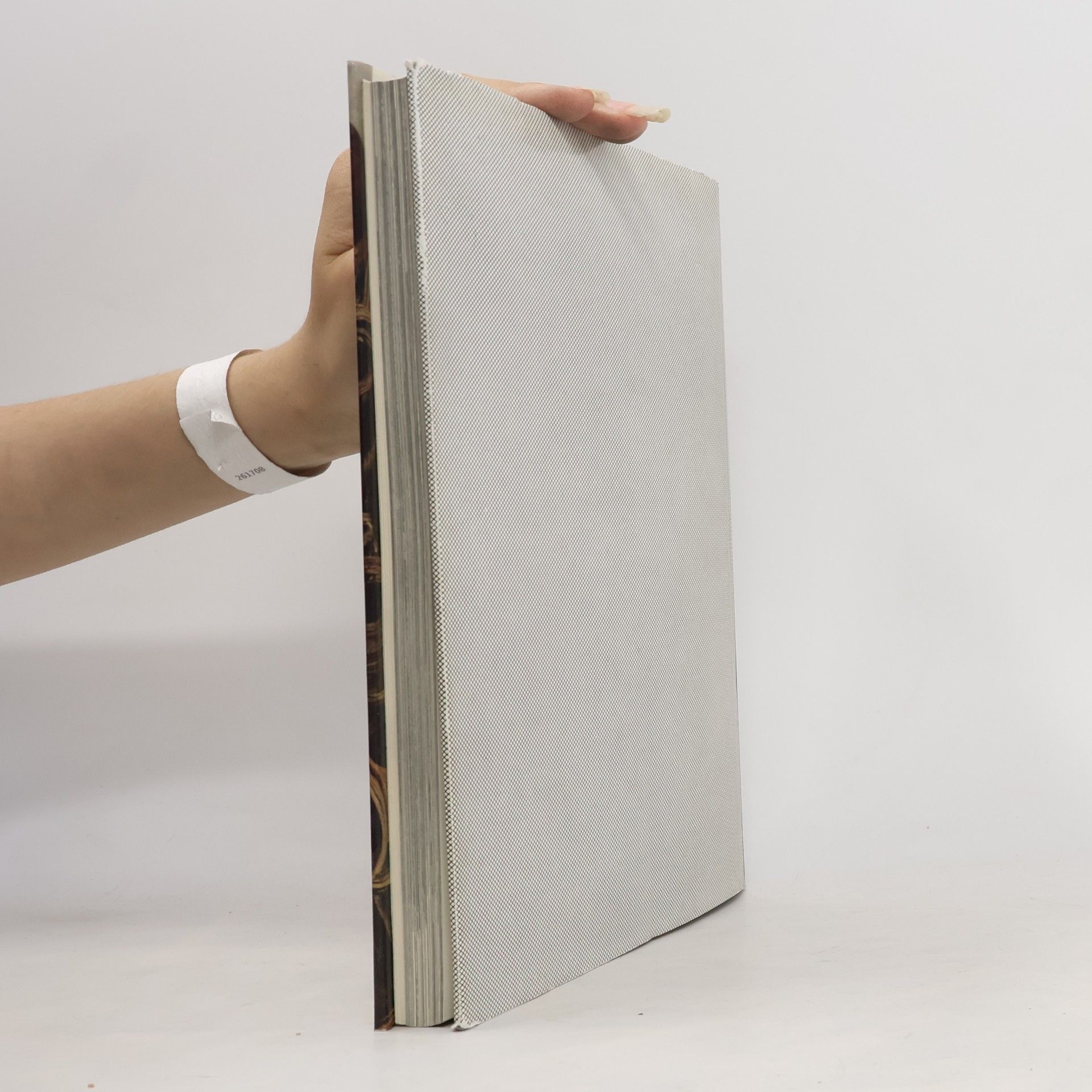 Autores varios Europäisiche Plastik der Spätgotik und Renaissance