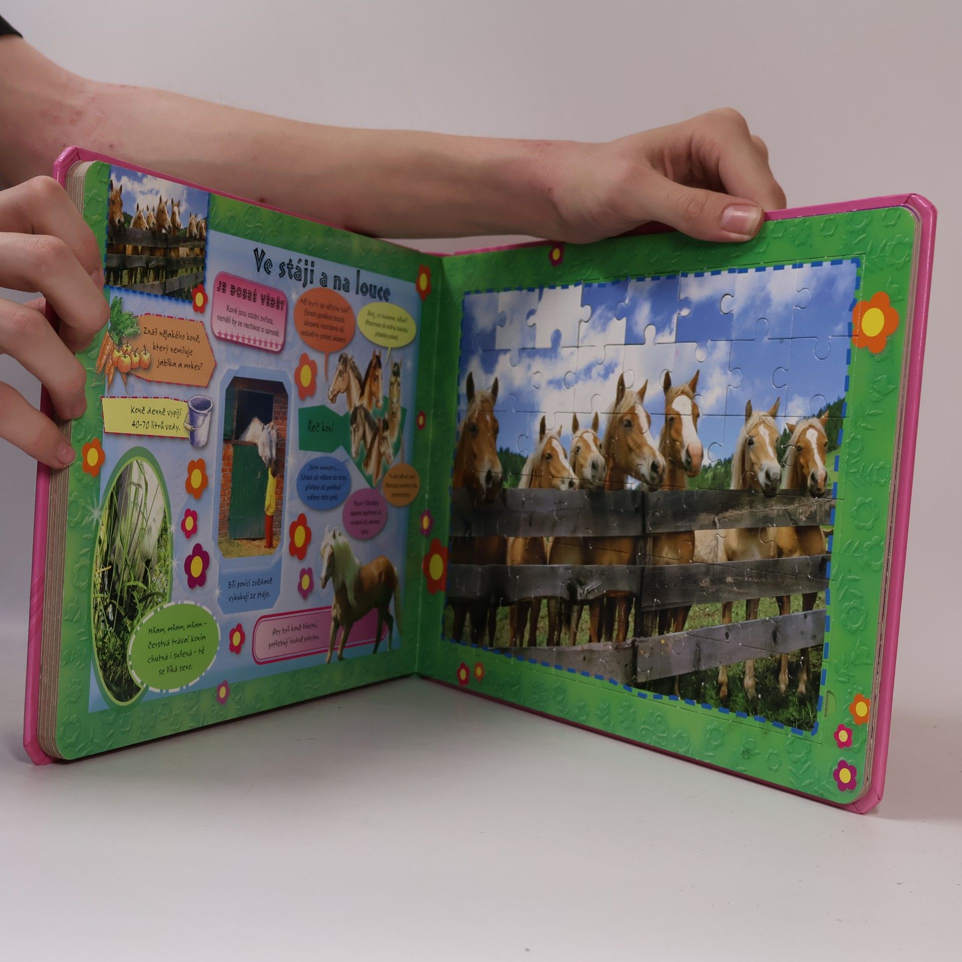 Anja Schriever Moje kniha puzzle o koních. Učíme se při hraní