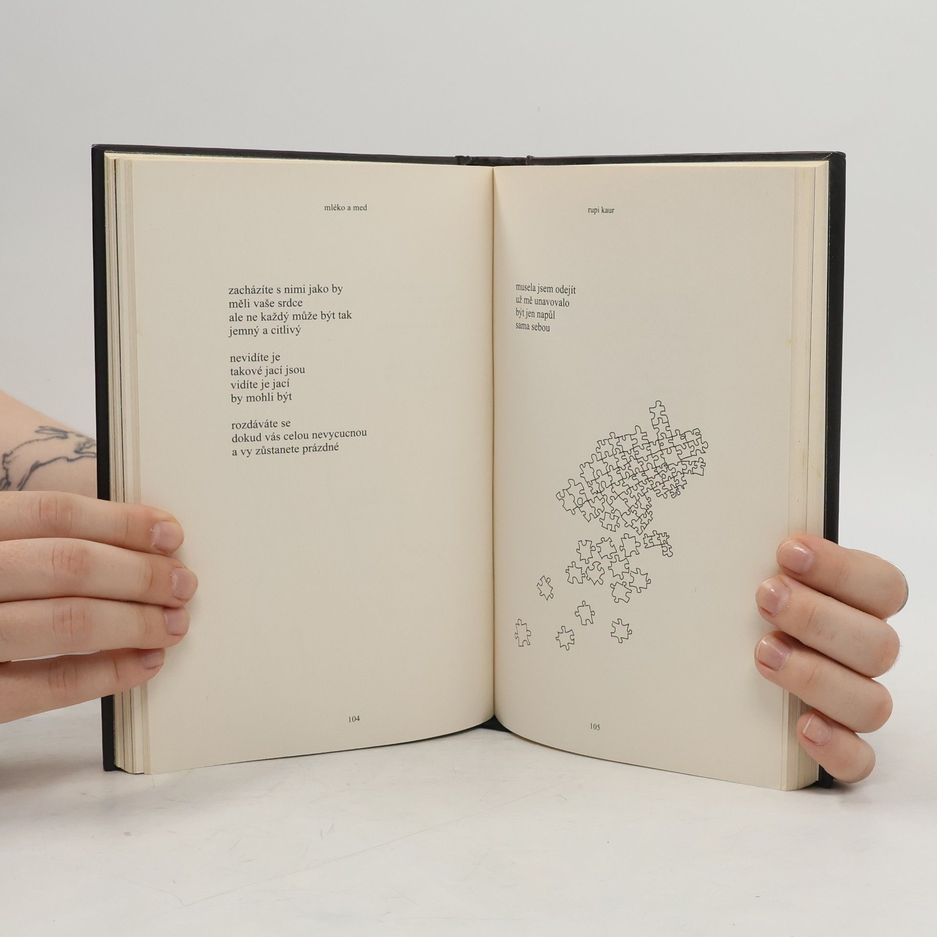 Rupi Kaur Mléko a med