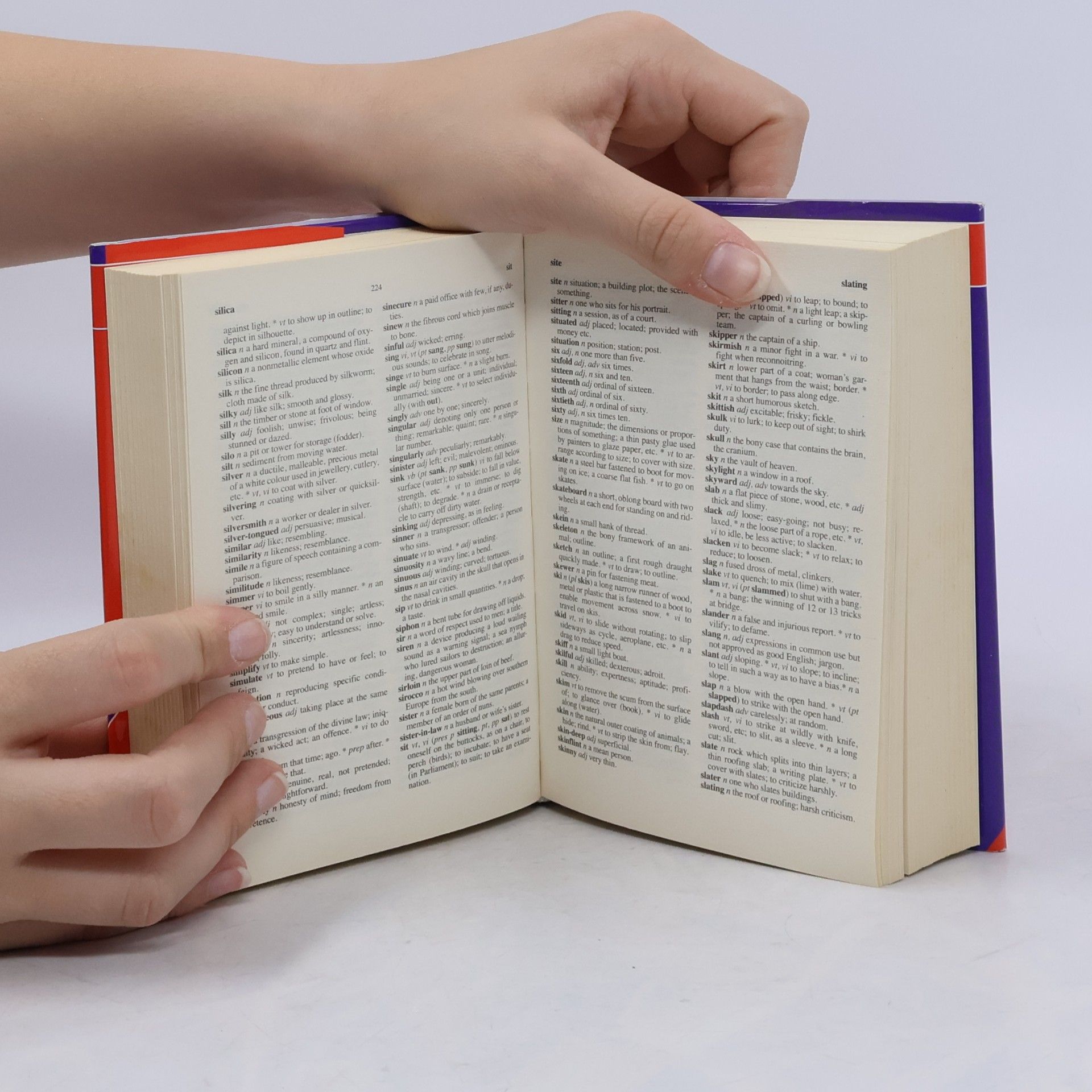 anonym New English Dictionary and Thesaurus