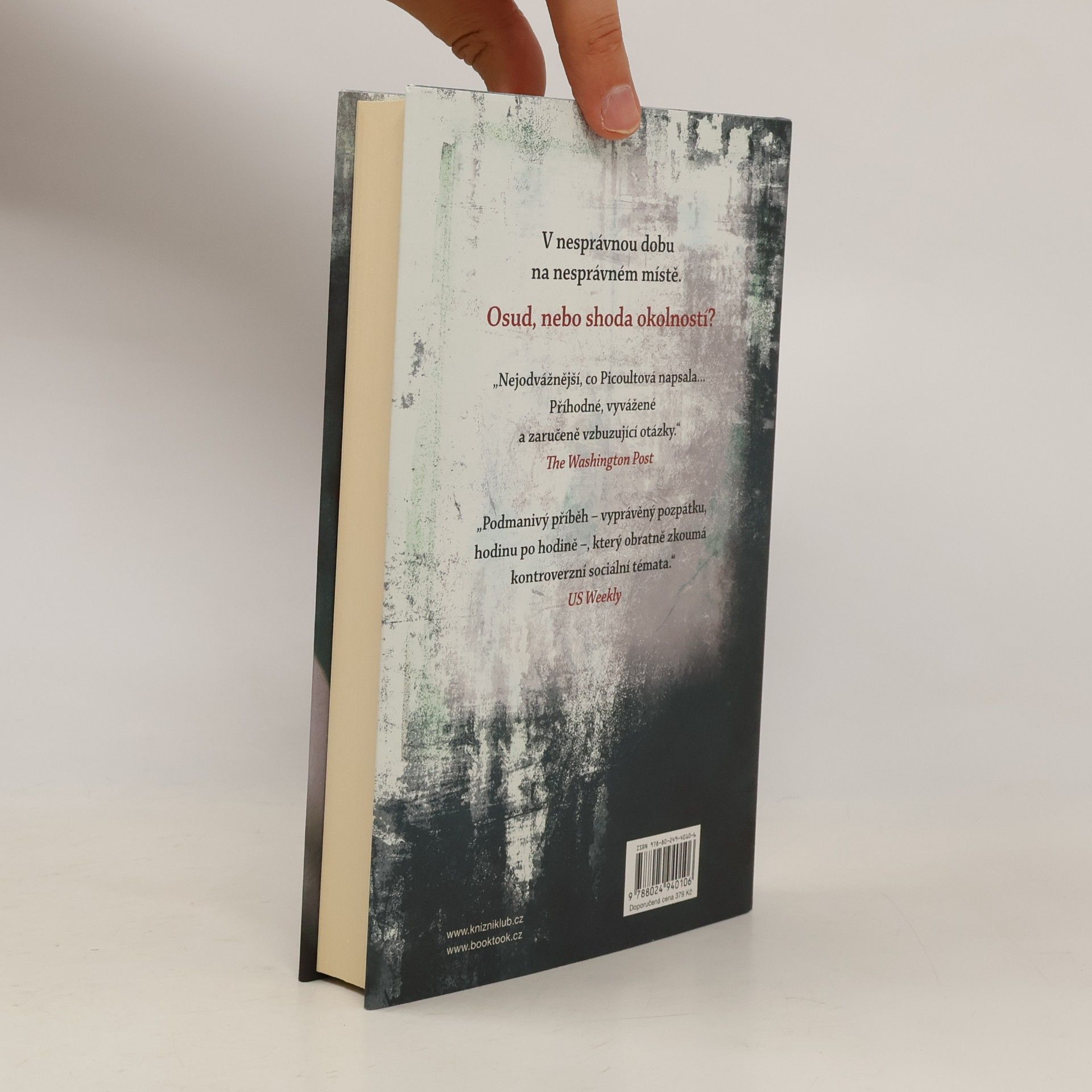 Jodi Picoult Záblesk života
