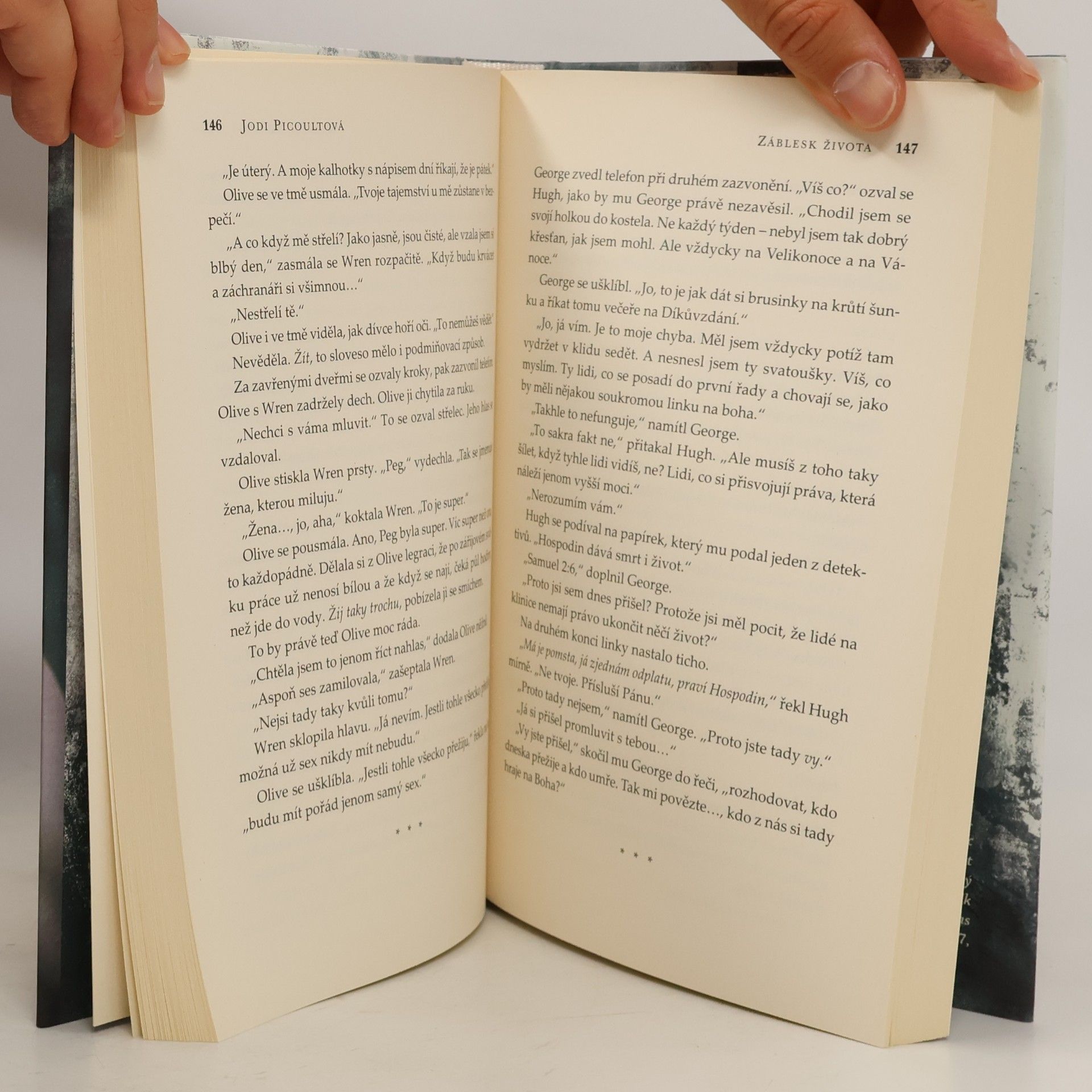 Jodi Picoult Záblesk života