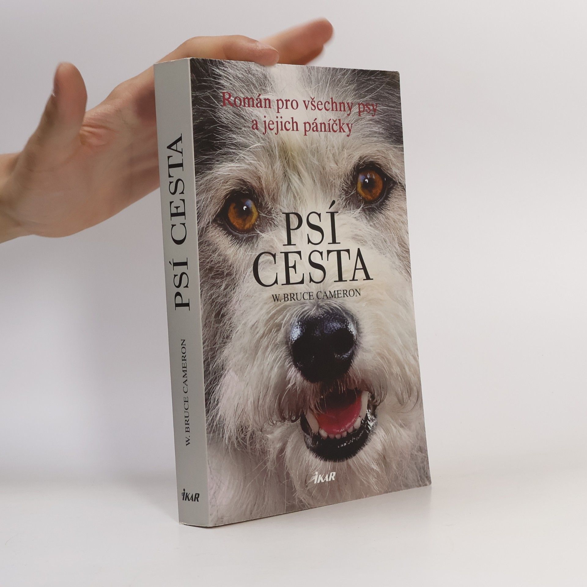 W. Bruce Cameron Psí cesta