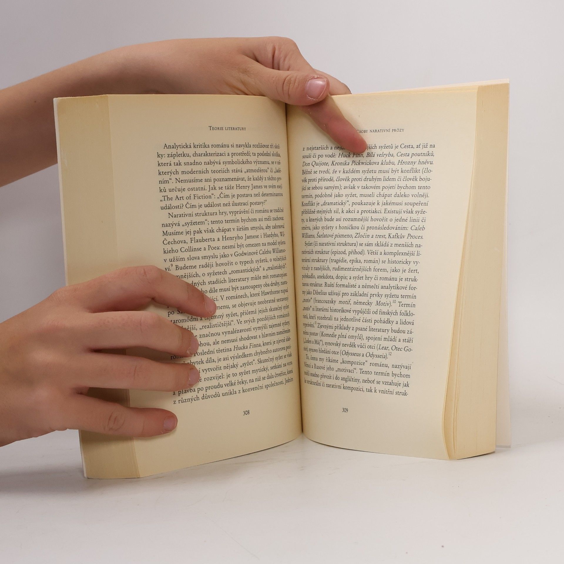 René Wellek Teorie literatury