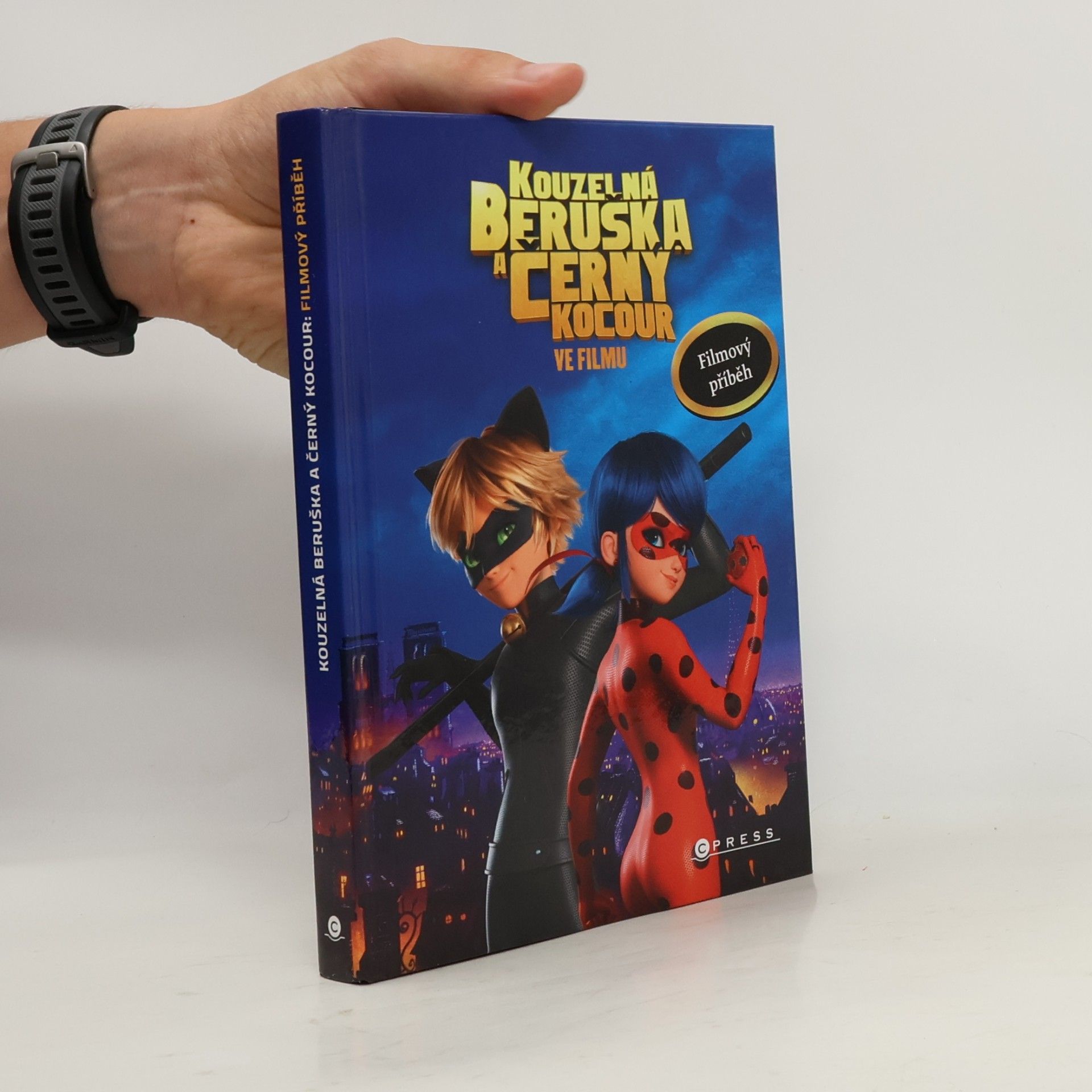 Kolektiv autorů Kouzelná Beruška a Černý Kocour ve filmu