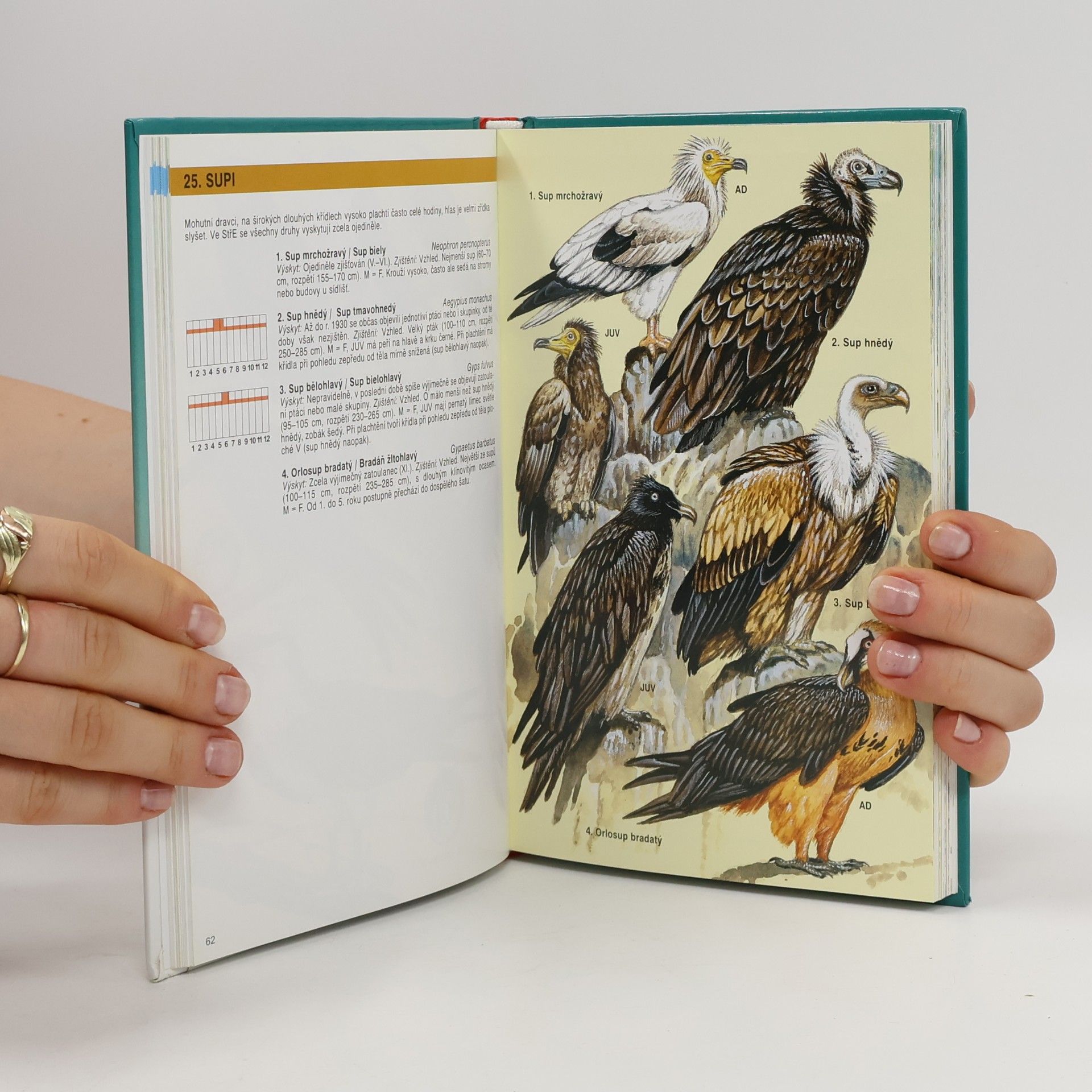 Jan Dungel Atlas ptáků České a Slovenské republiky