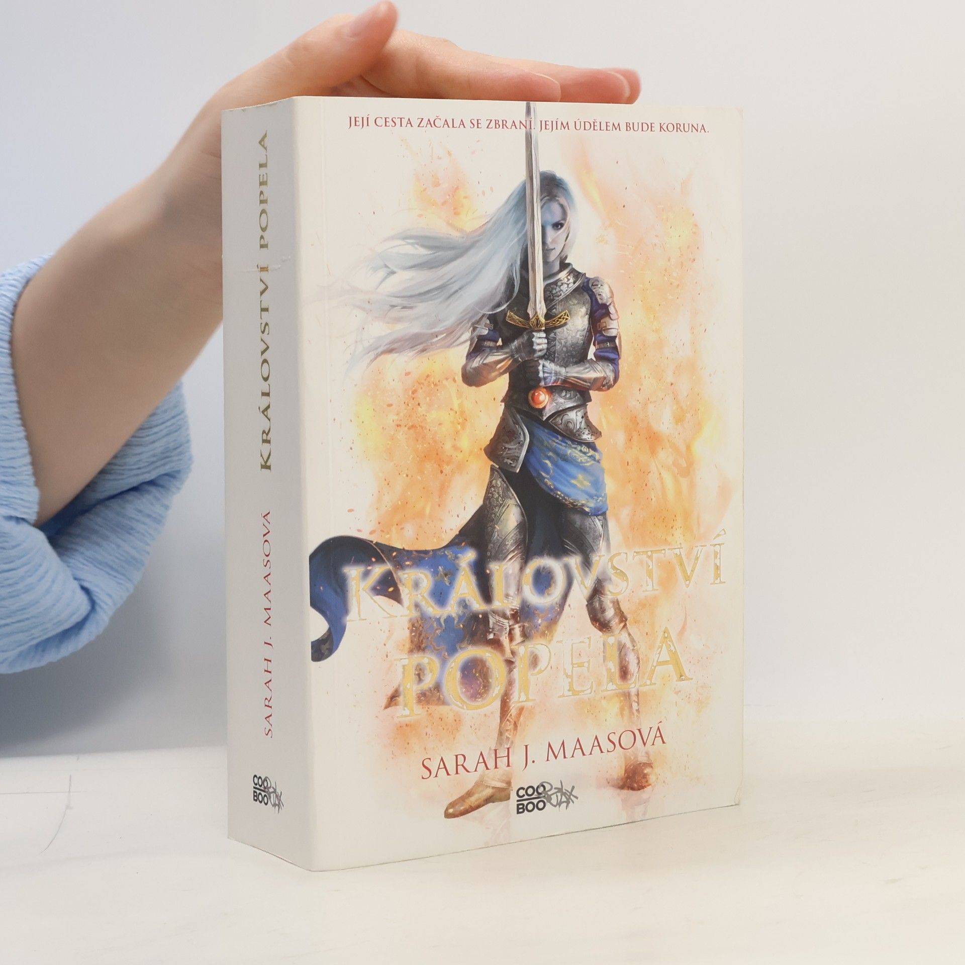 Sarah J. Maas Království popela