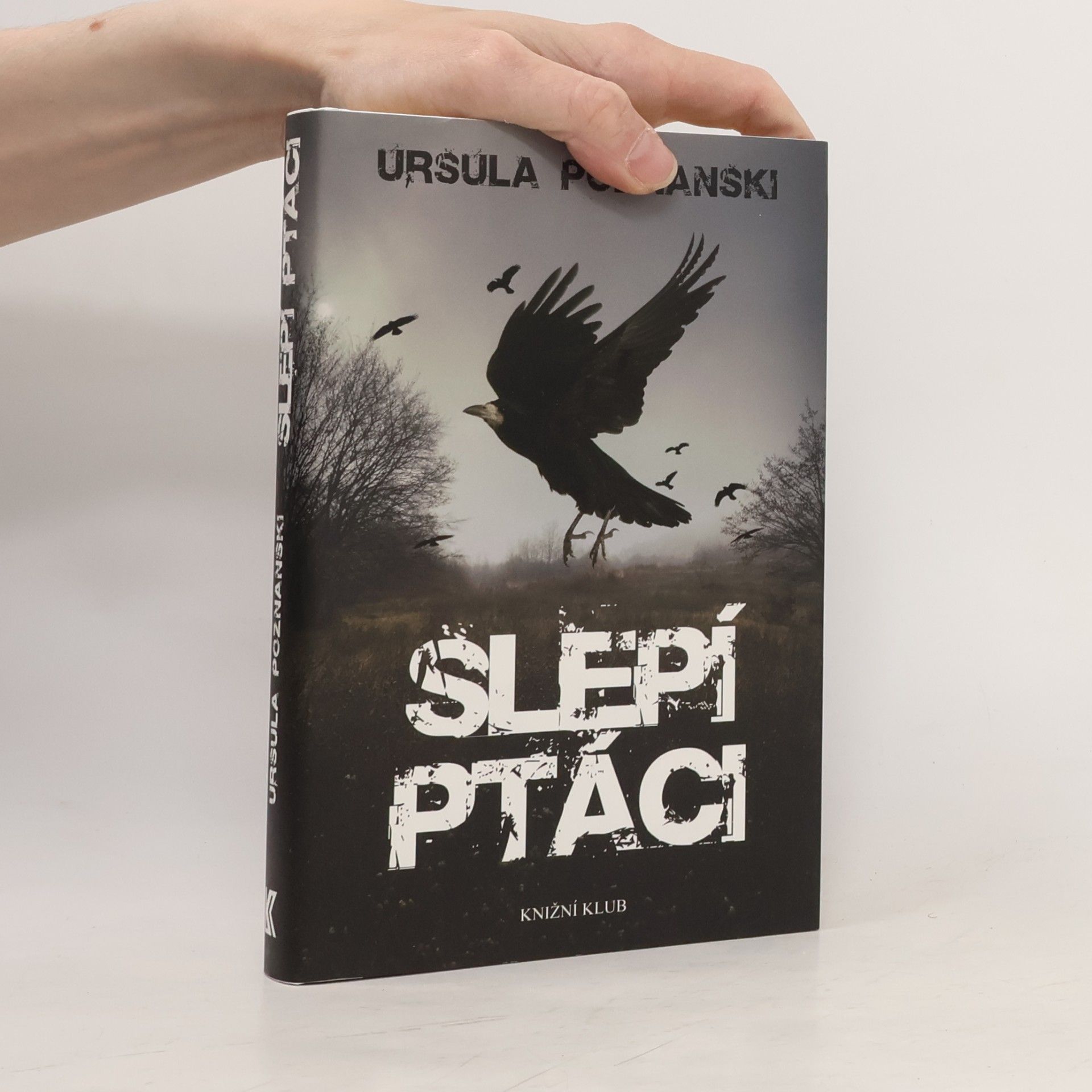 Ursula Poznanski Slepí ptáci
