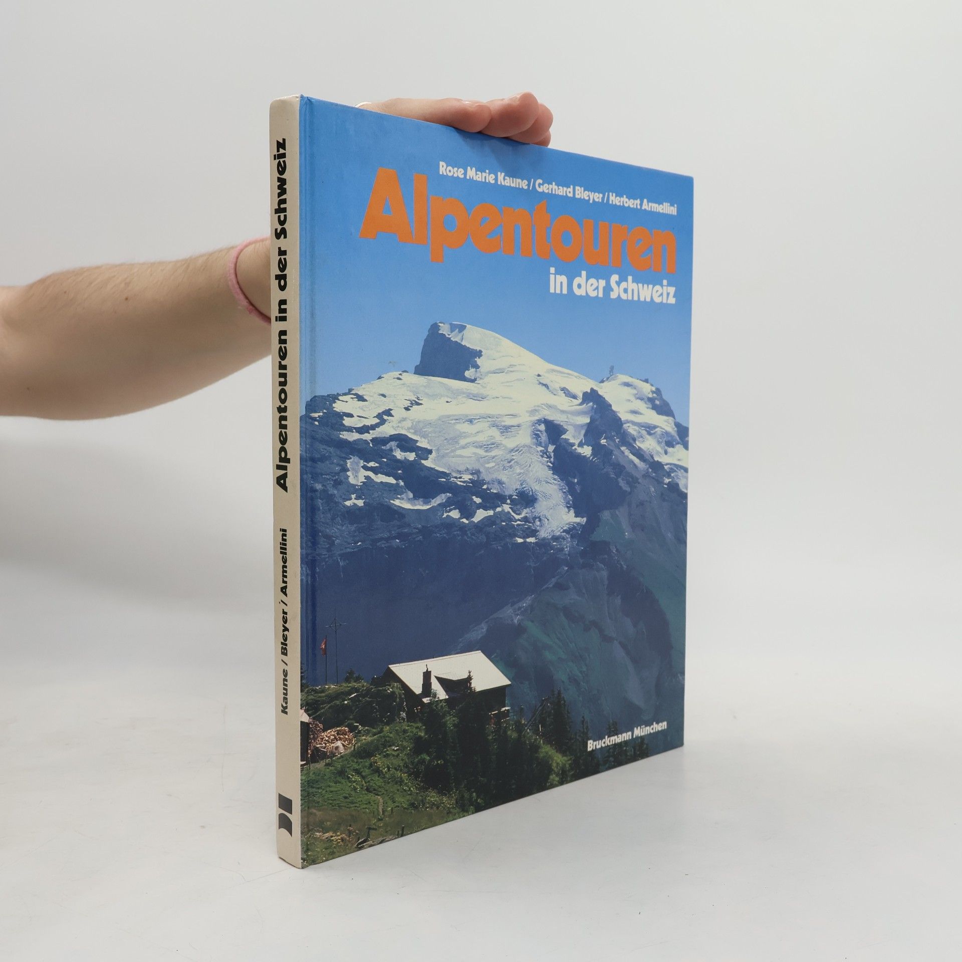Rose Marie Bleyer Alpentouren in der Schweiz