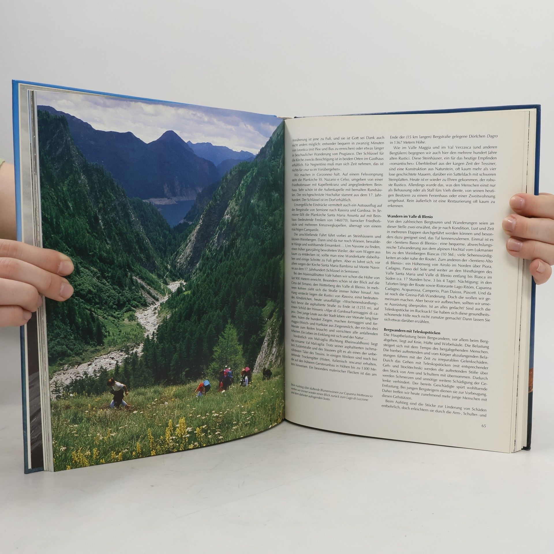 Rose Marie Bleyer Alpentouren in der Schweiz