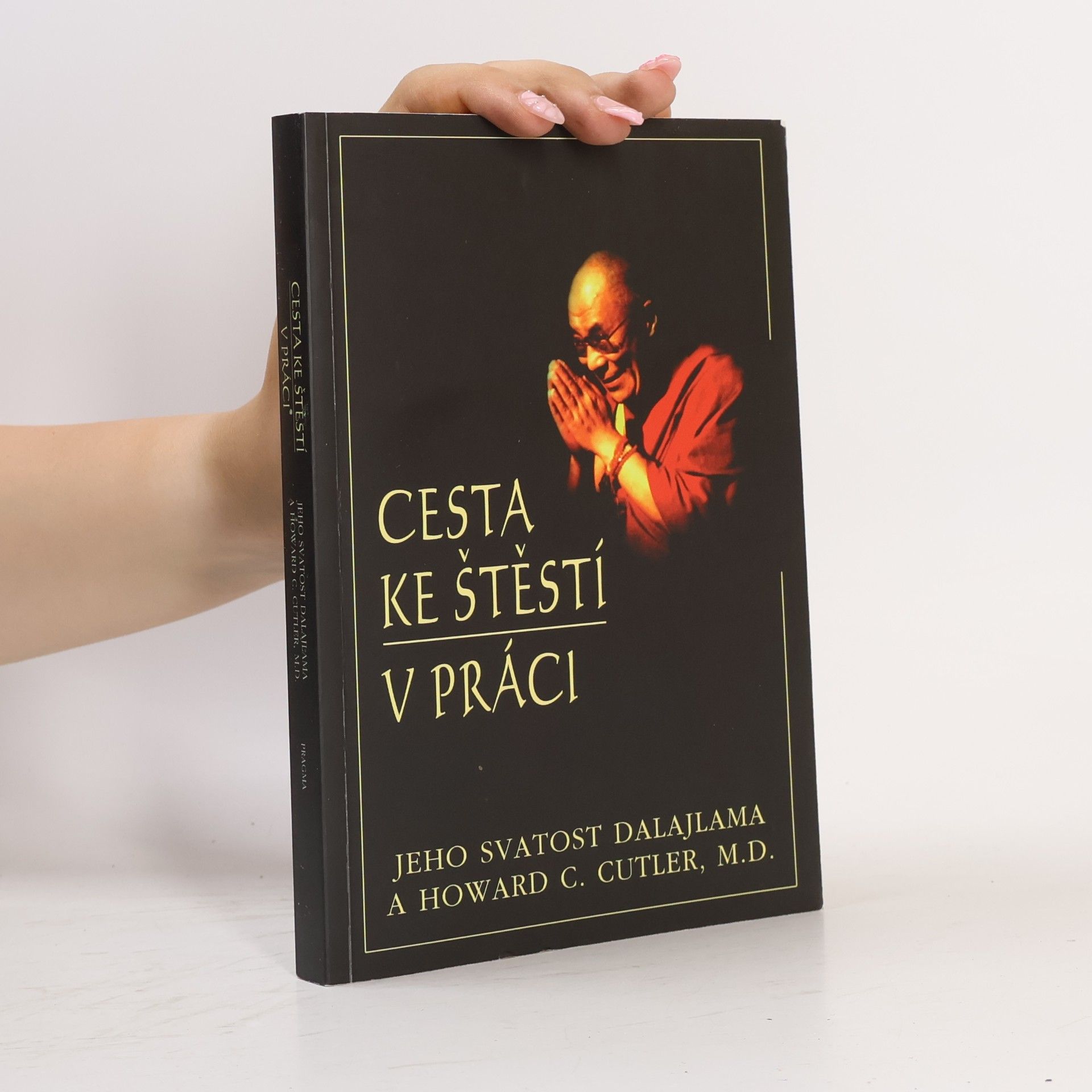 Bstan\'dzinrgyamtsho Cesta ke štěstí v práci