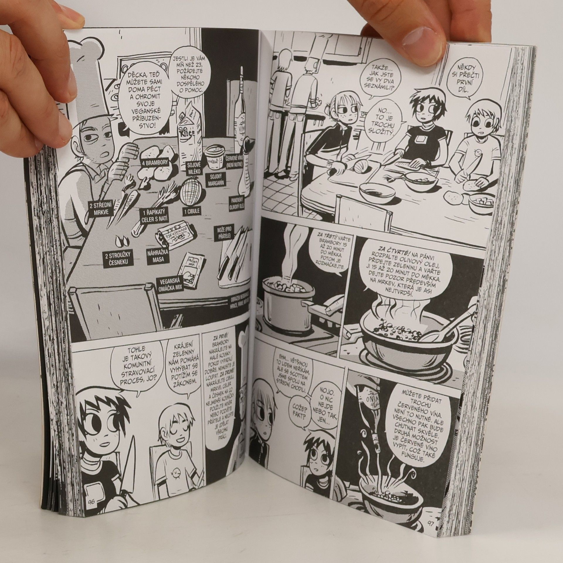 Bryan Lee O'Malley Scott Pilgrim 2. díl : Proti zbytku světu